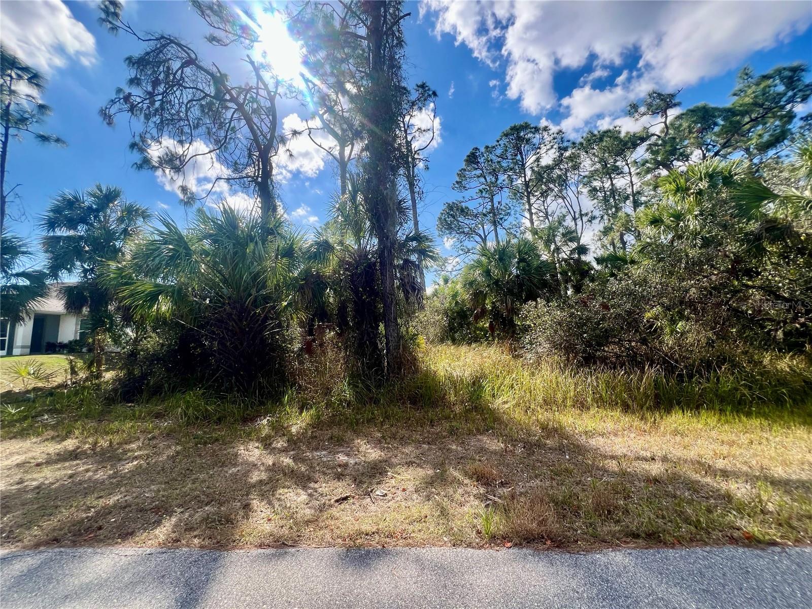 Land at Lot 8 ABBEVILLE RD, NORTH PORT, photo 2 of 5