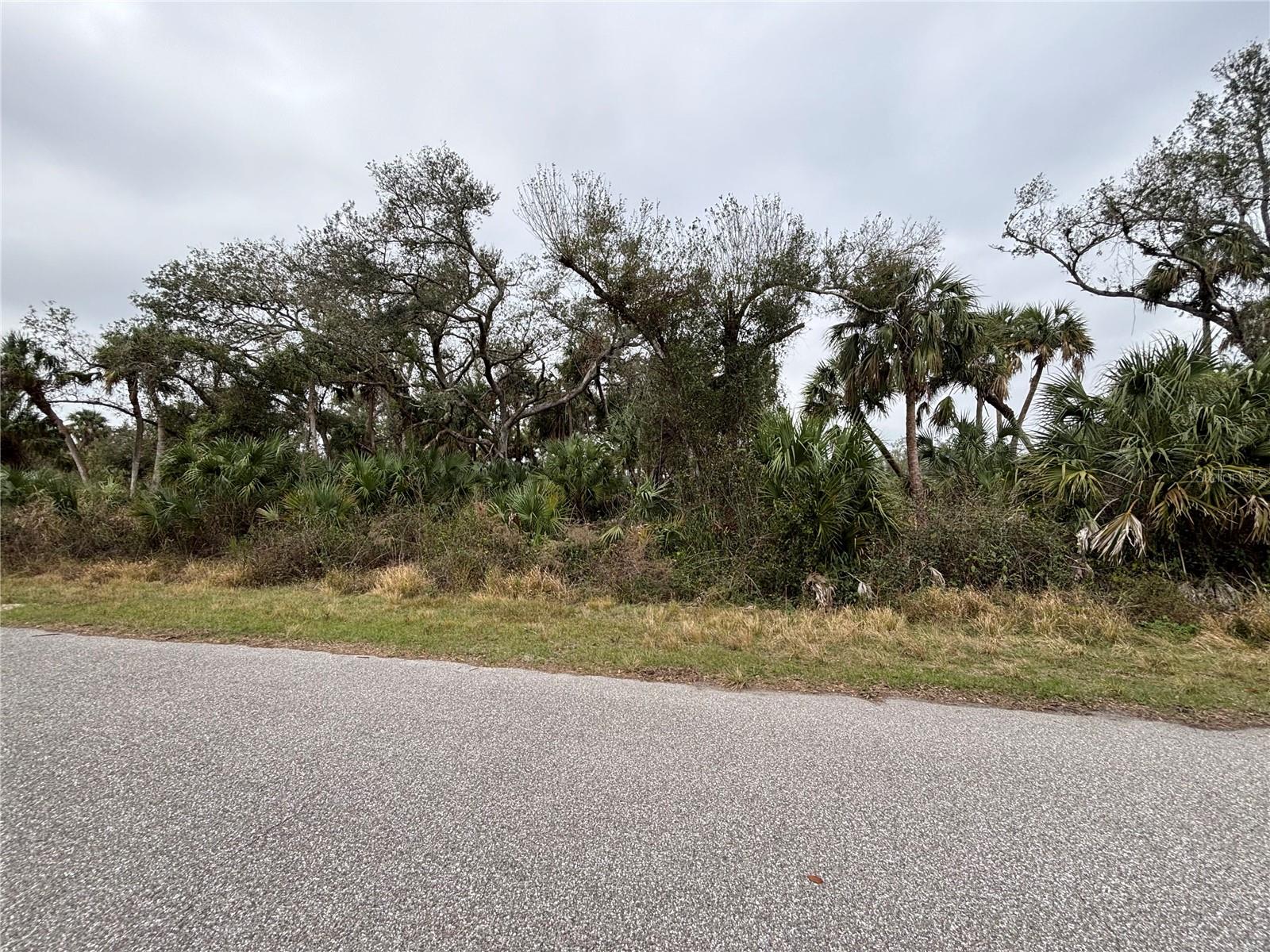 Land at PORT CHARLOTTE SUB 25, NORTH PORT, photo 2 of 5