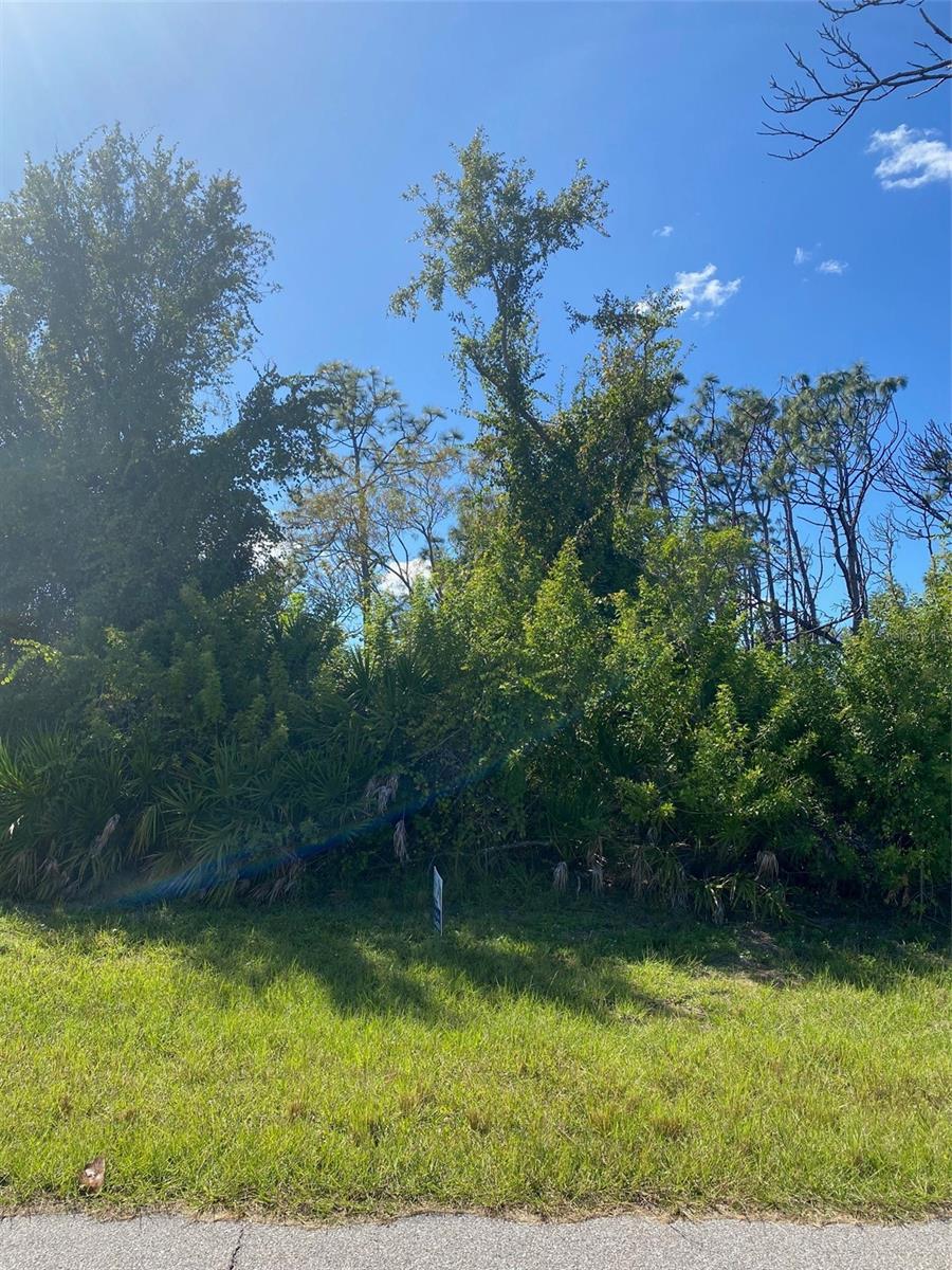 119 WAHOO DR