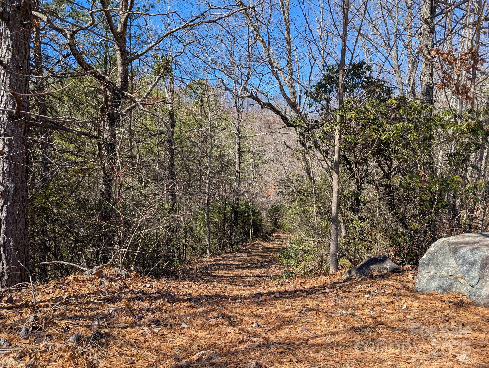 94 Trillium Lane