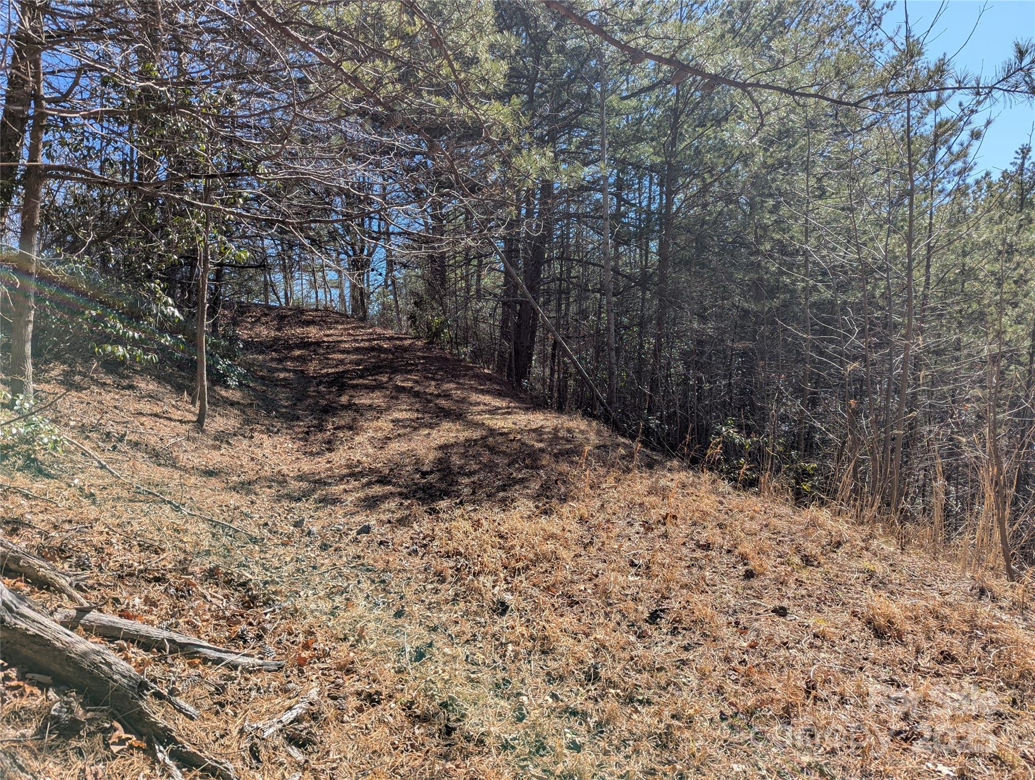 Lot at 94 Trillium Lane, Black Mountain, photo 2 of 16