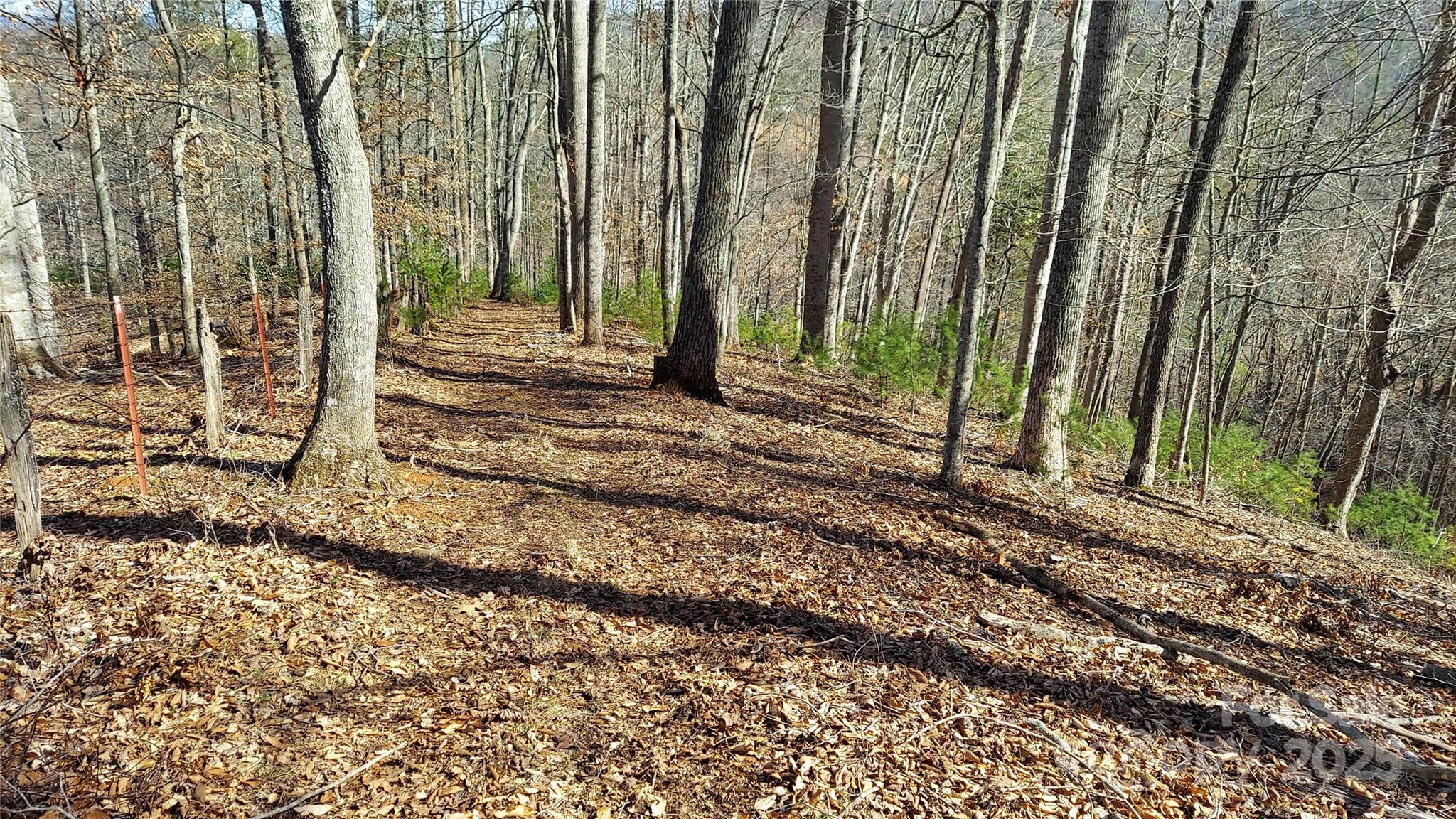 Homesite - 103 Barn Road, Burnsville