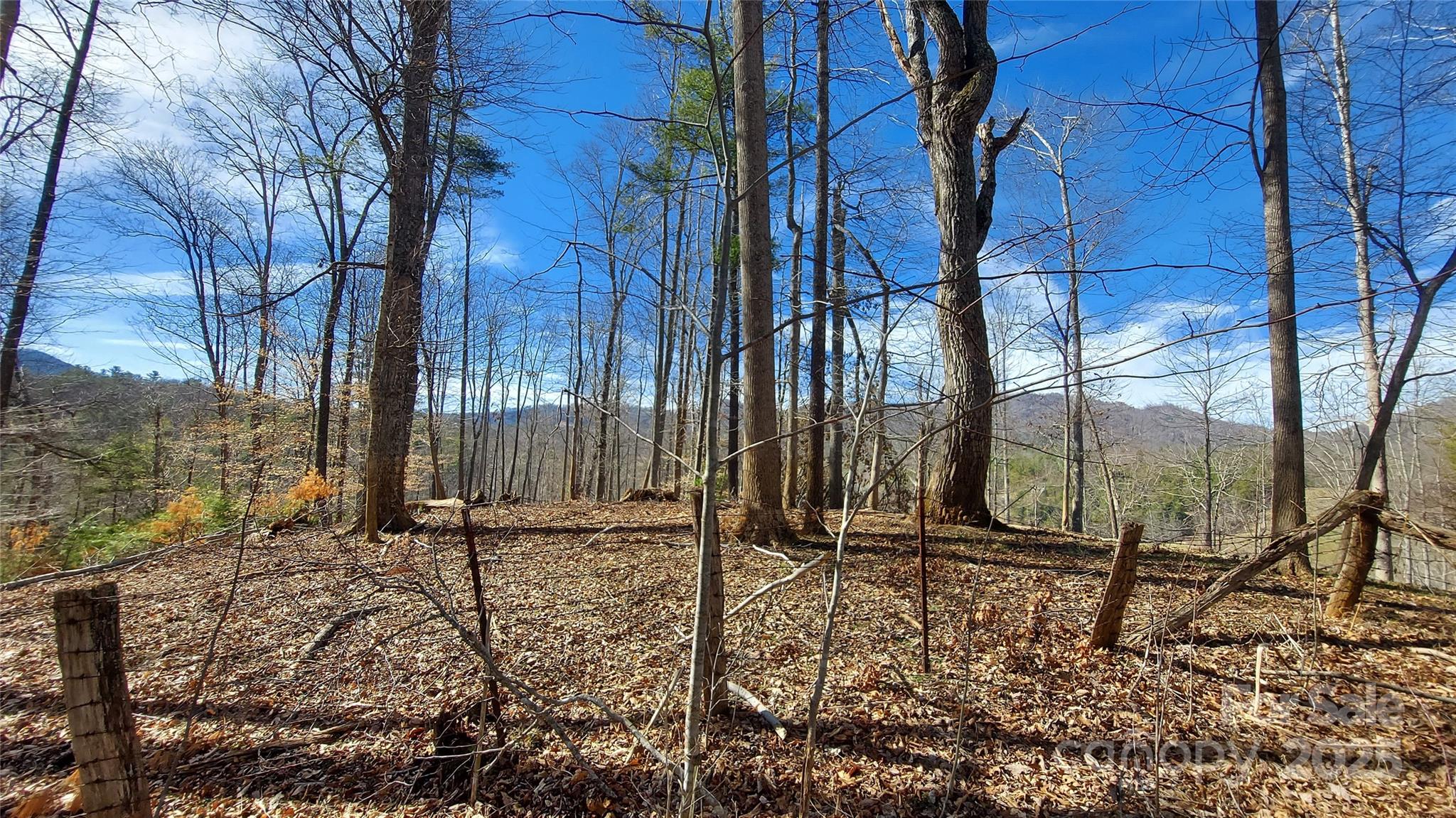 Part of view, SW - 103 Barn Road, Burnsville