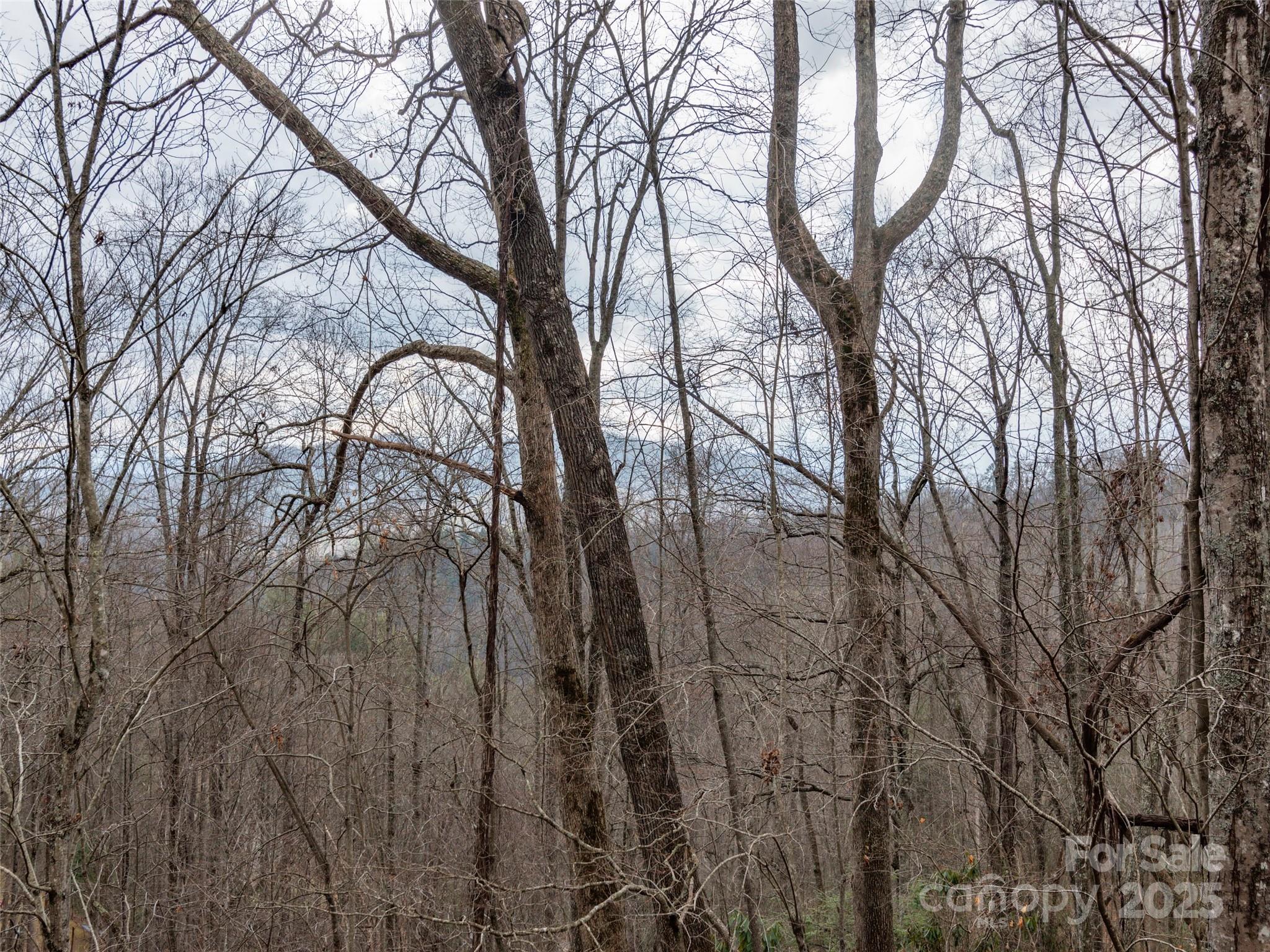 Acreage at 00 Cherry Berry Drive, Waynesville, photo 2 of 10