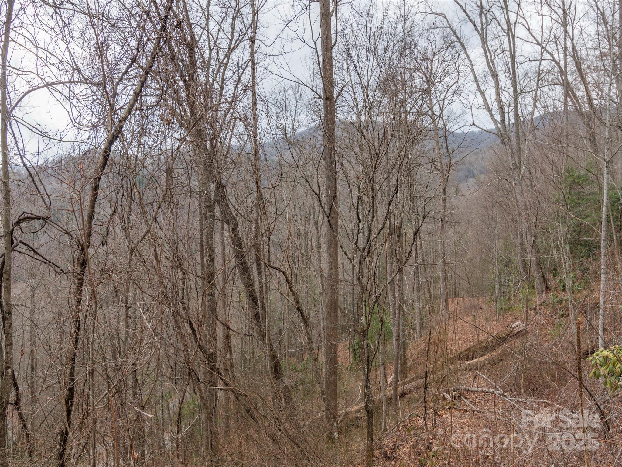Acreage at 00 Cherry Berry Drive, Waynesville, photo 3 of 10