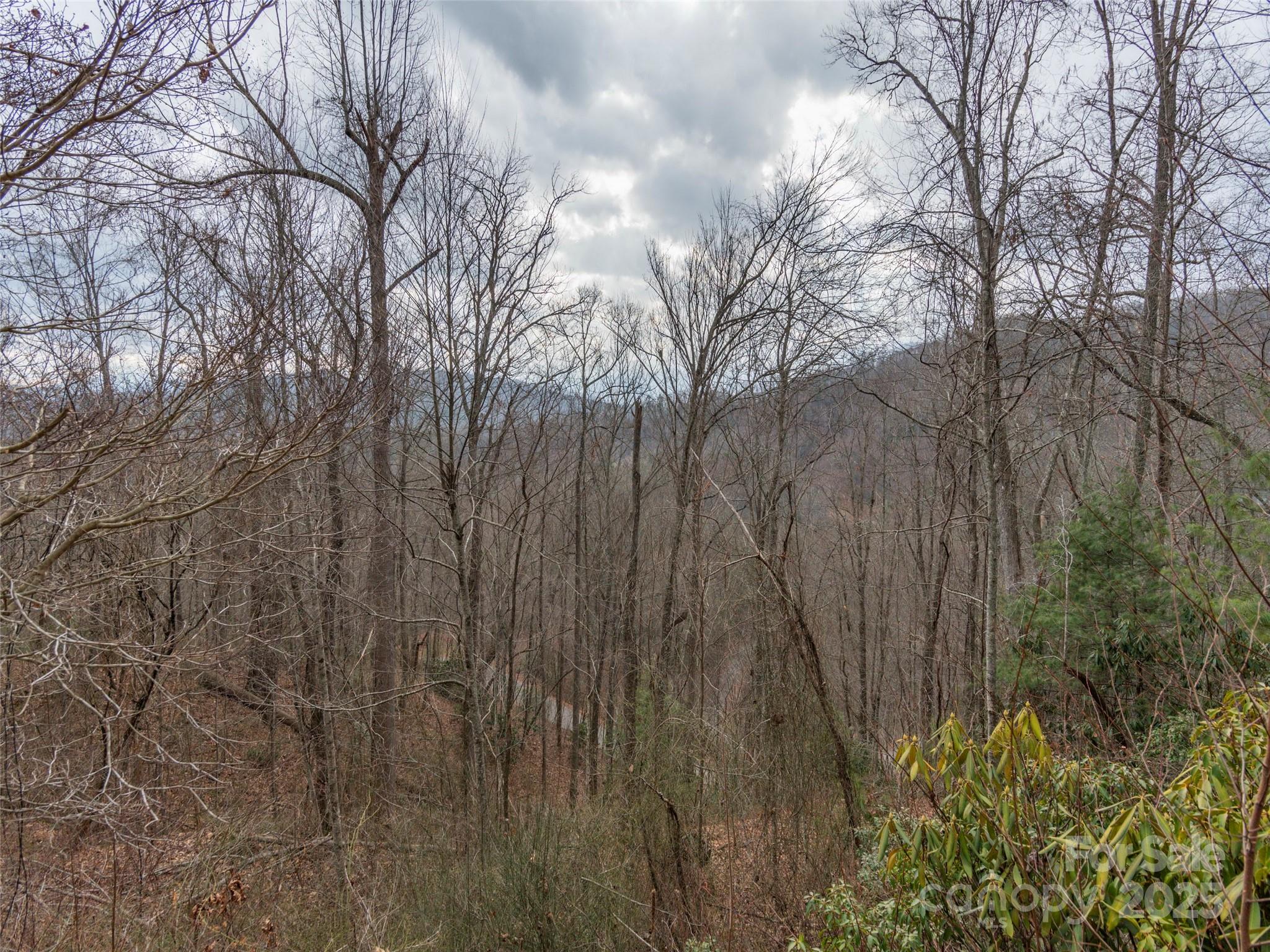 Acreage at 00 Cherry Berry Drive, Waynesville, photo 4 of 10