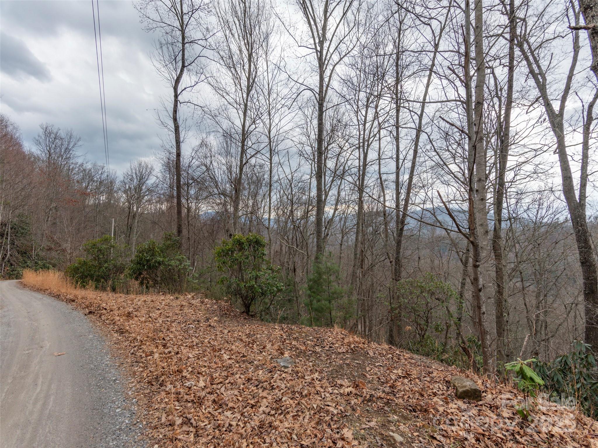 Acreage at 00 Cherry Berry Drive, Waynesville, photo 5 of 10