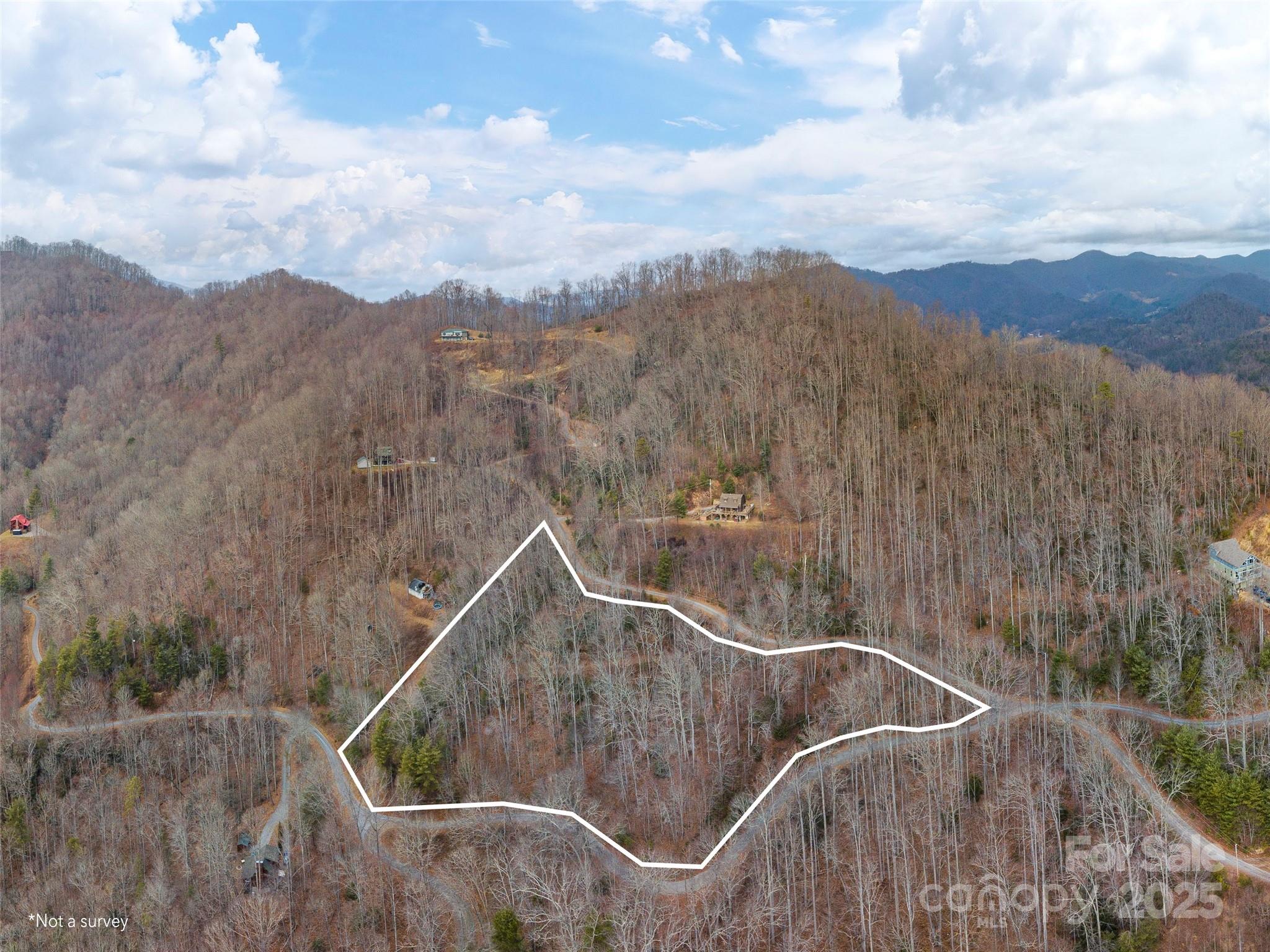 Acreage at 00 Cherry Berry Drive, Waynesville, photo 7 of 10