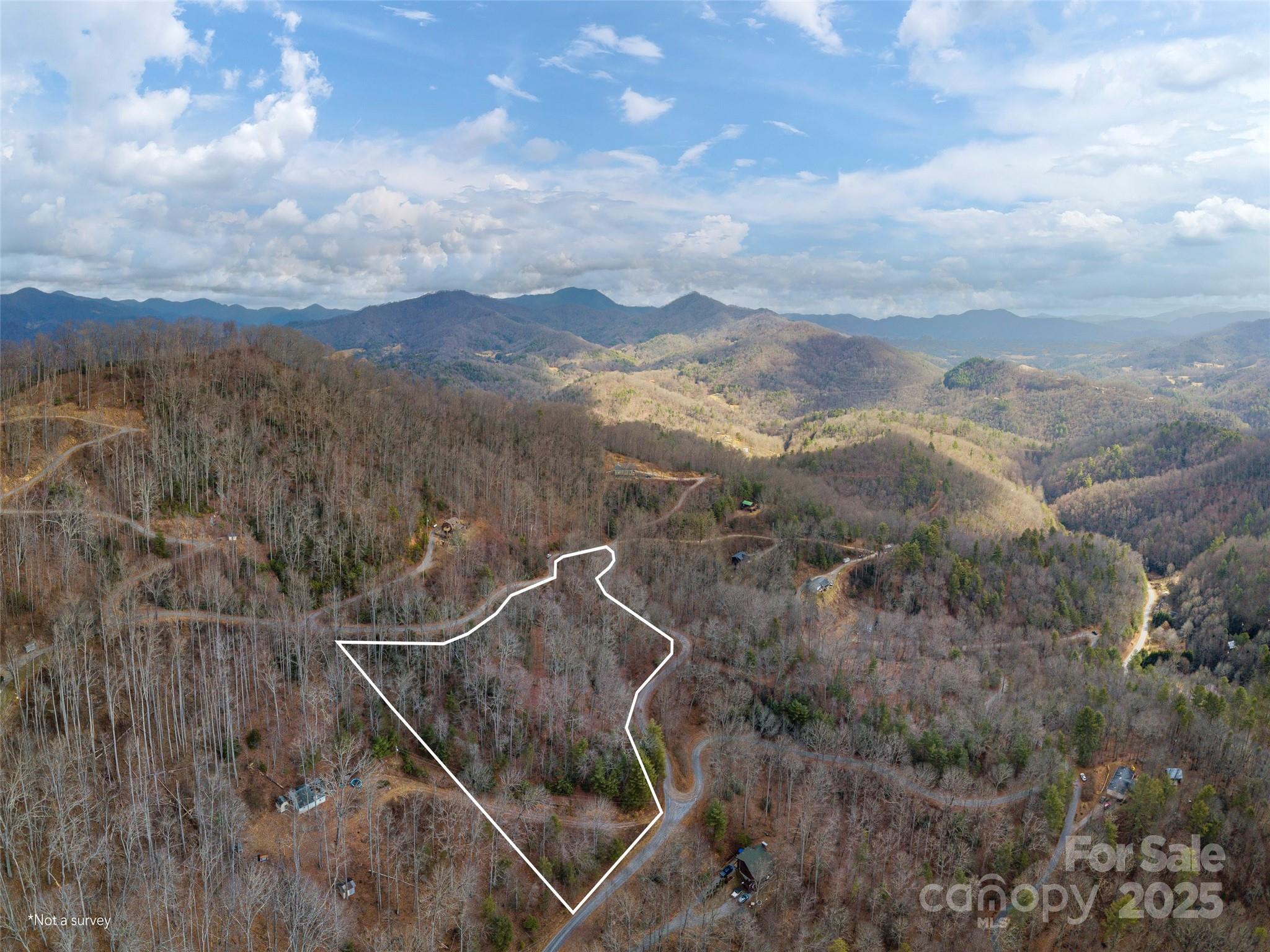 Acreage at 00 Cherry Berry Drive, Waynesville, photo 8 of 10