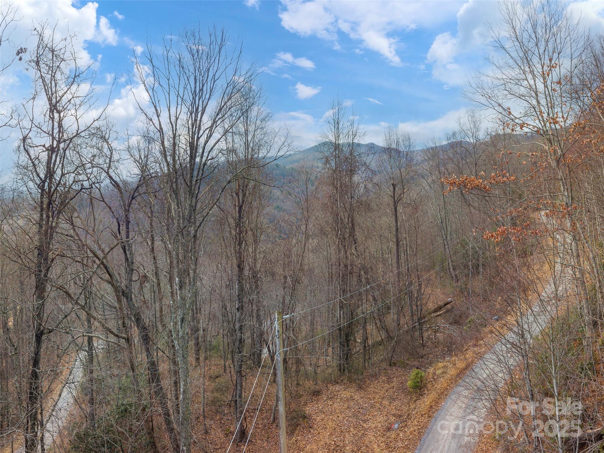 Acreage at 00 Cherry Berry Drive, Waynesville, photo 9 of 10