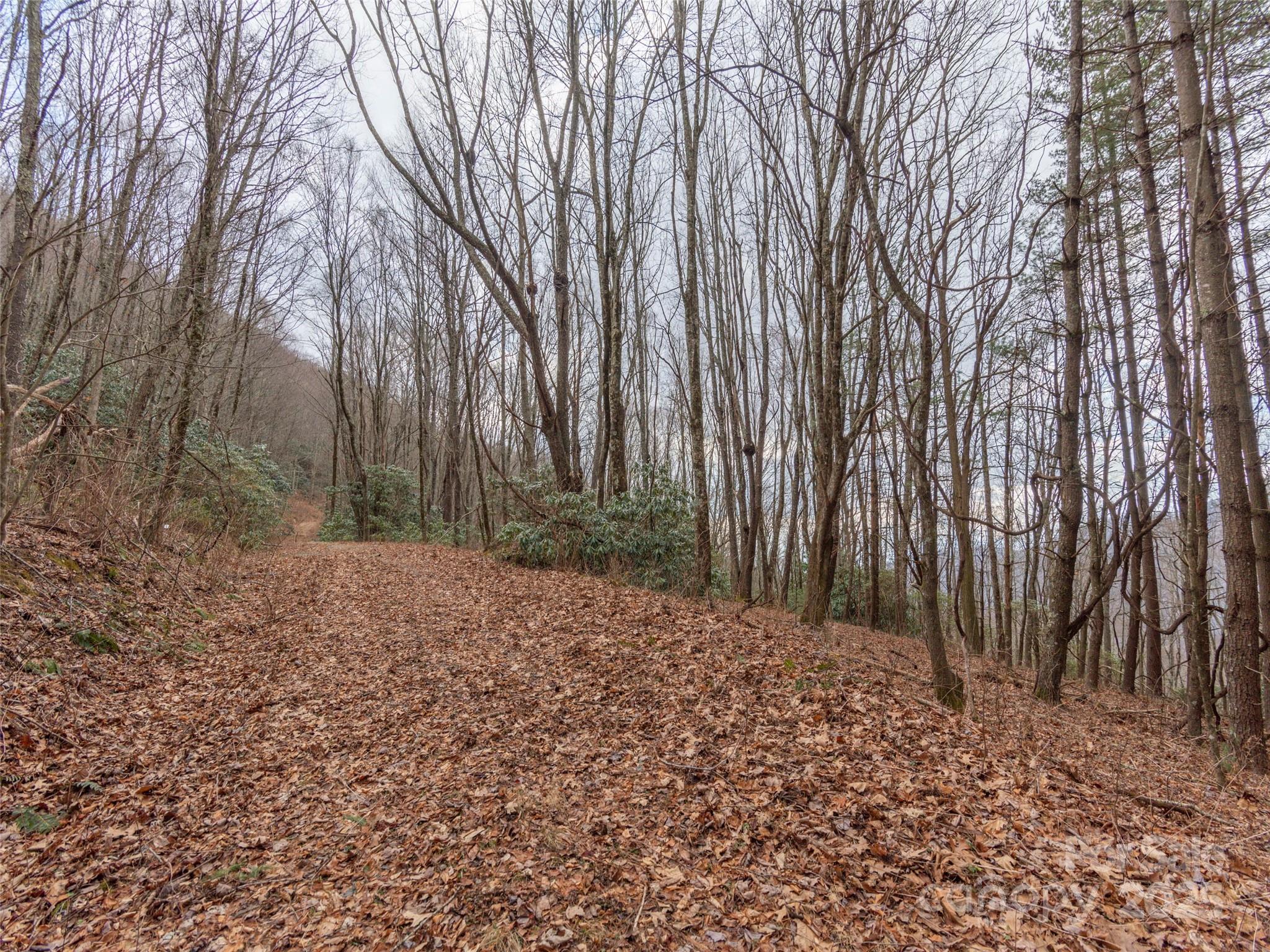 Acreage at 00 Bald Creek Road, Clyde, photo 2 of 12