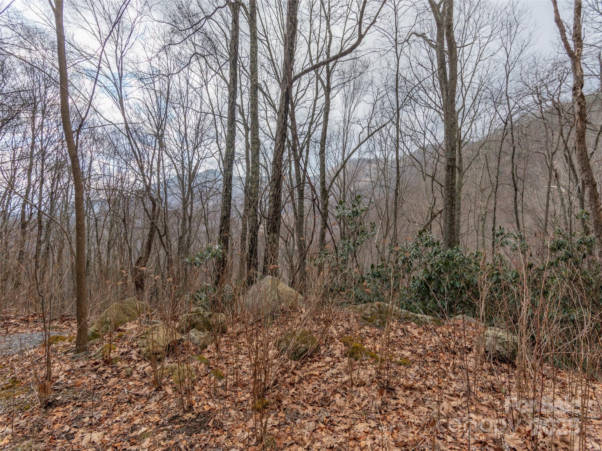 Acreage at 00 Bald Creek Road, Clyde, photo 4 of 12