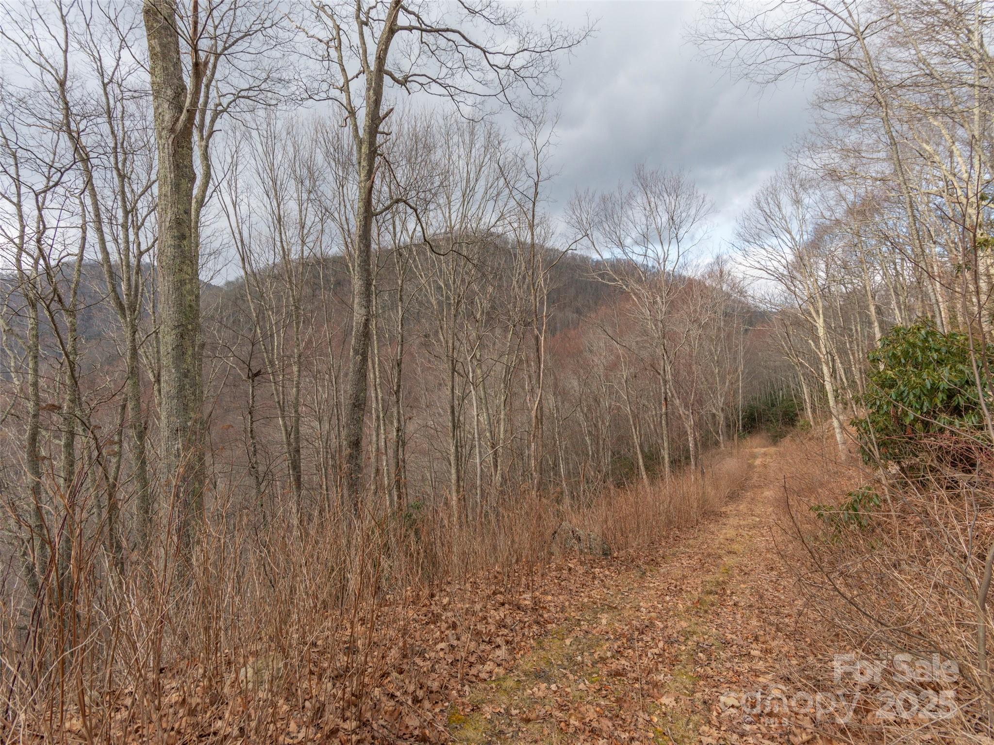 Acreage at 00 Bald Creek Road, Clyde, photo 5 of 12