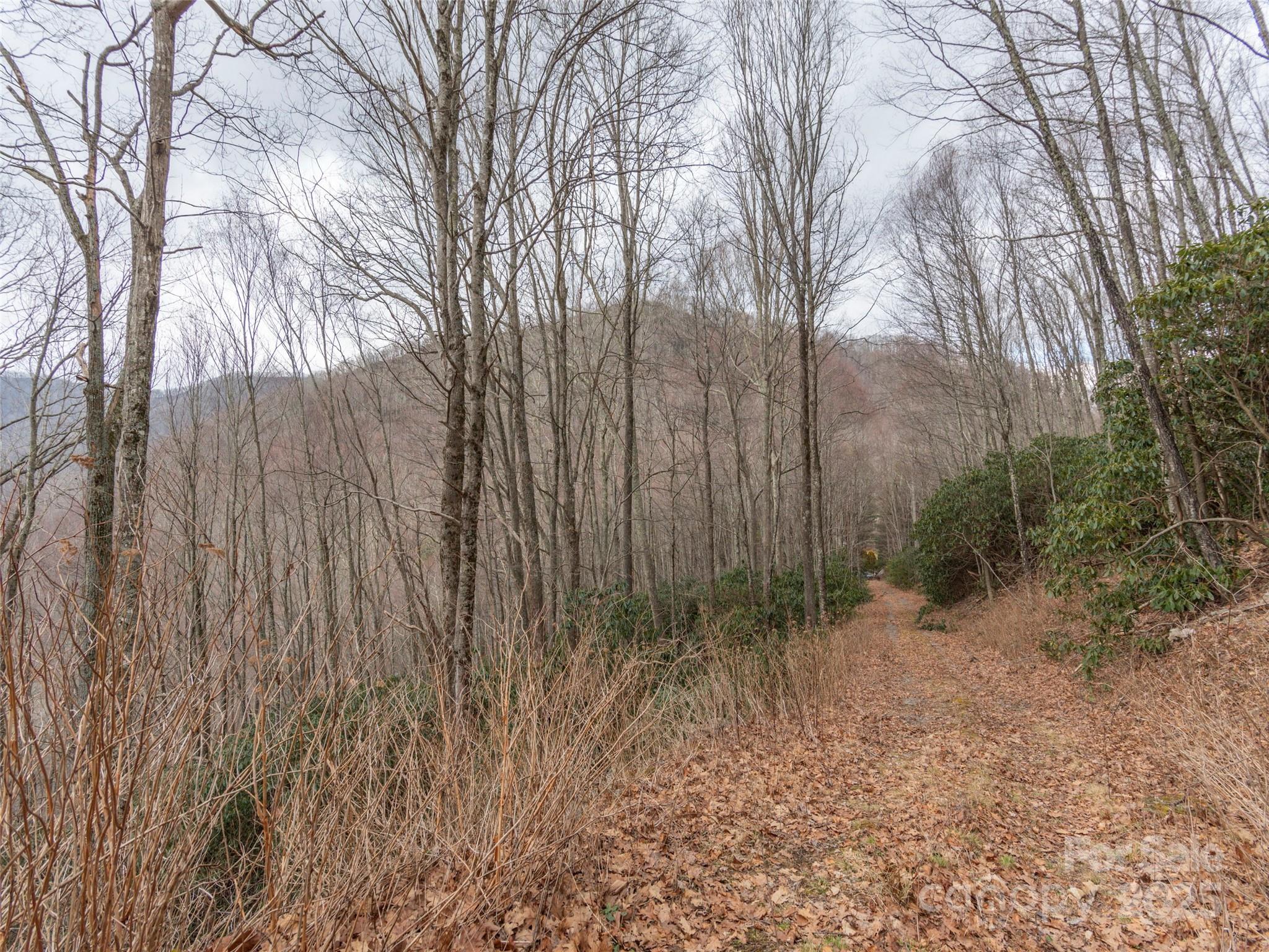 Acreage at 00 Bald Creek Road, Clyde, photo 6 of 12