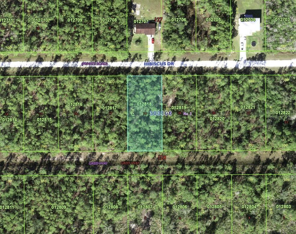 713 HIBISCUS DR