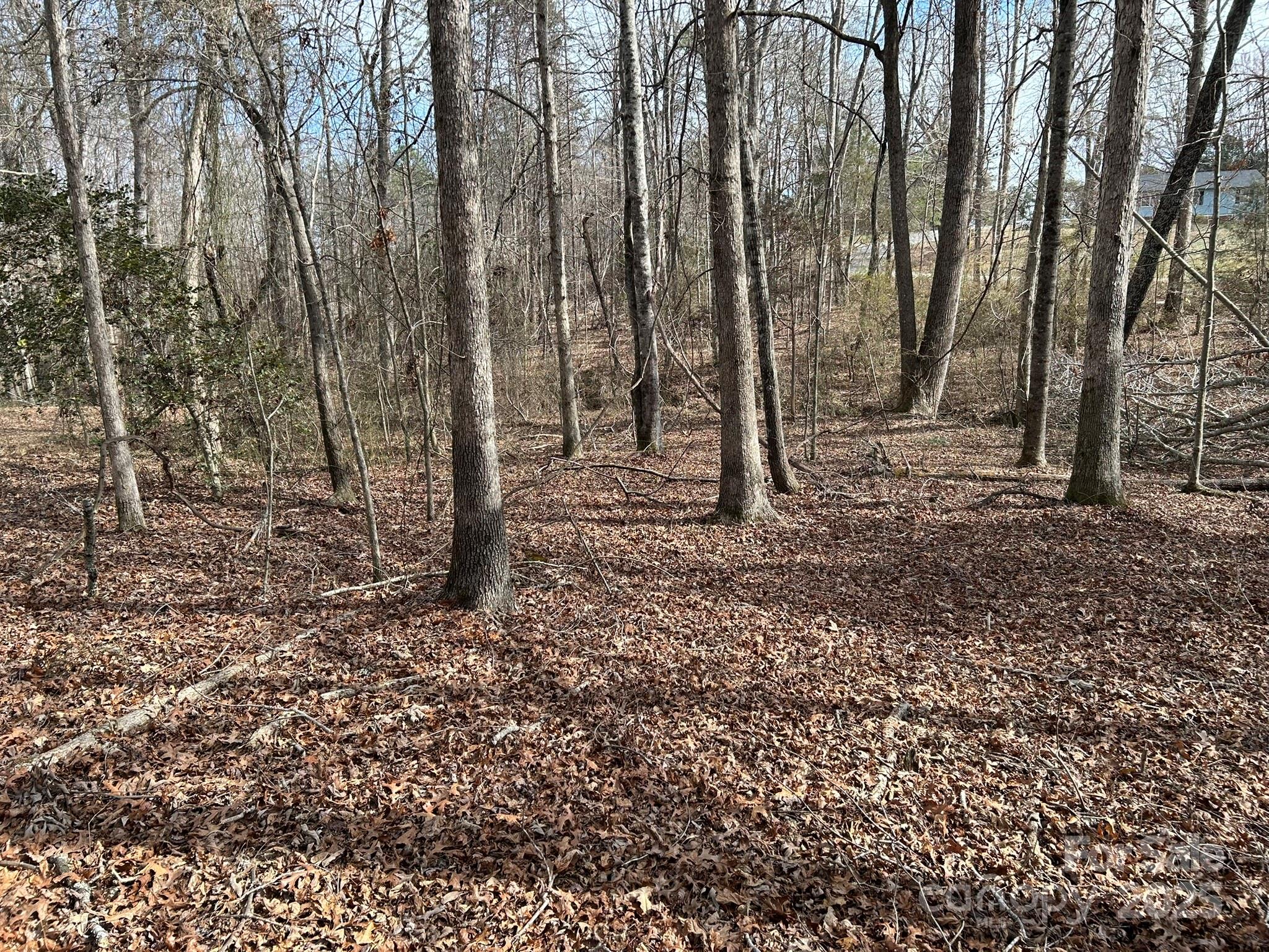 Lot at 60 & 86 W Melissa Drive, Forest City, photo 2 of 16