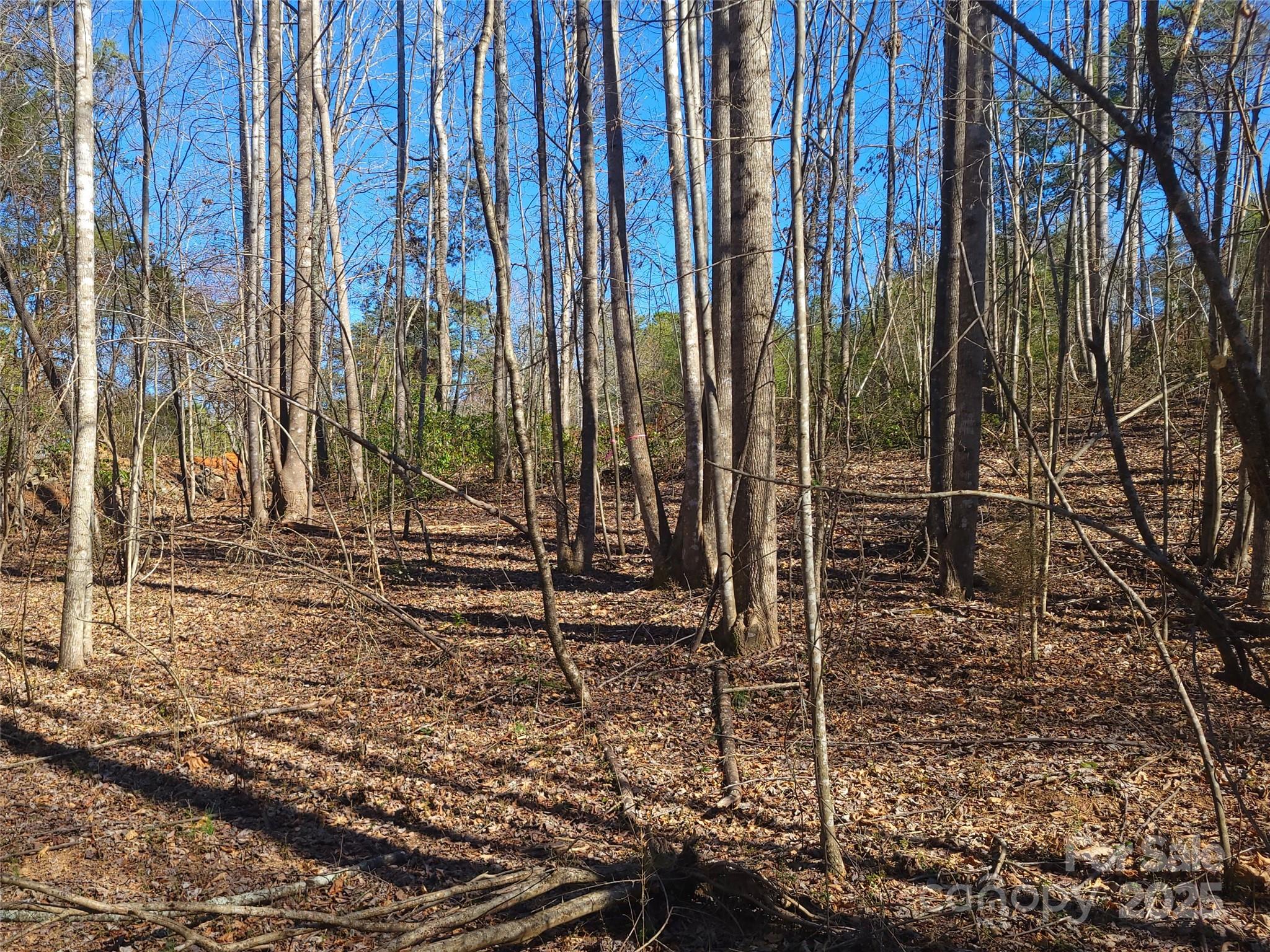 Lot at 000 Skylark Lane, Tryon, photo 8 of 16