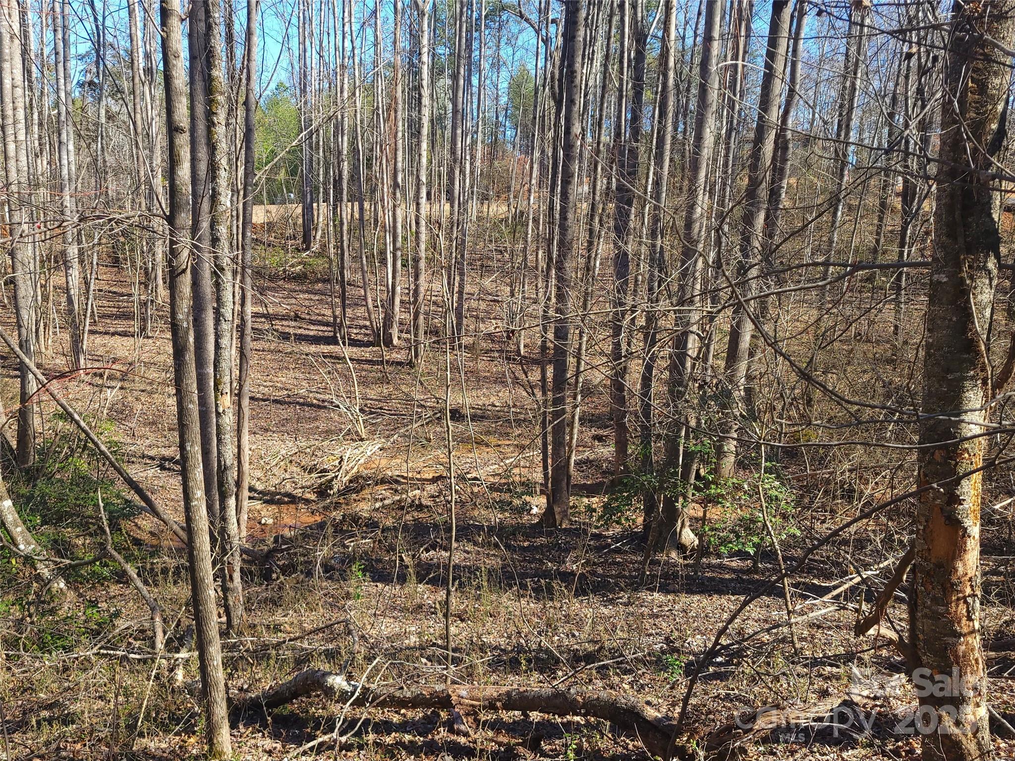 Lot at 000 Skylark Lane, Tryon, photo 11 of 16