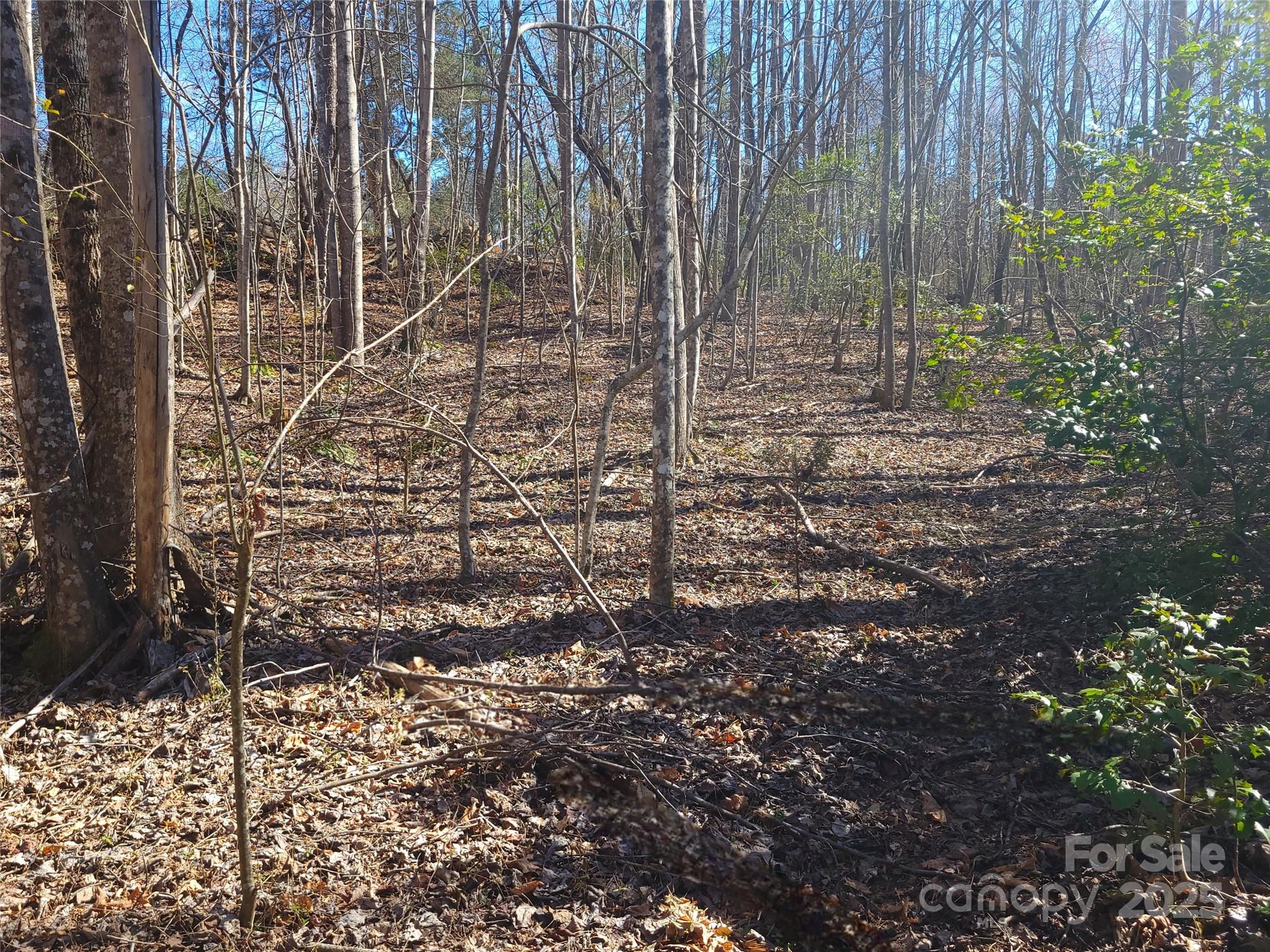 Lot at 000 Skylark Lane, Tryon, photo 13 of 16