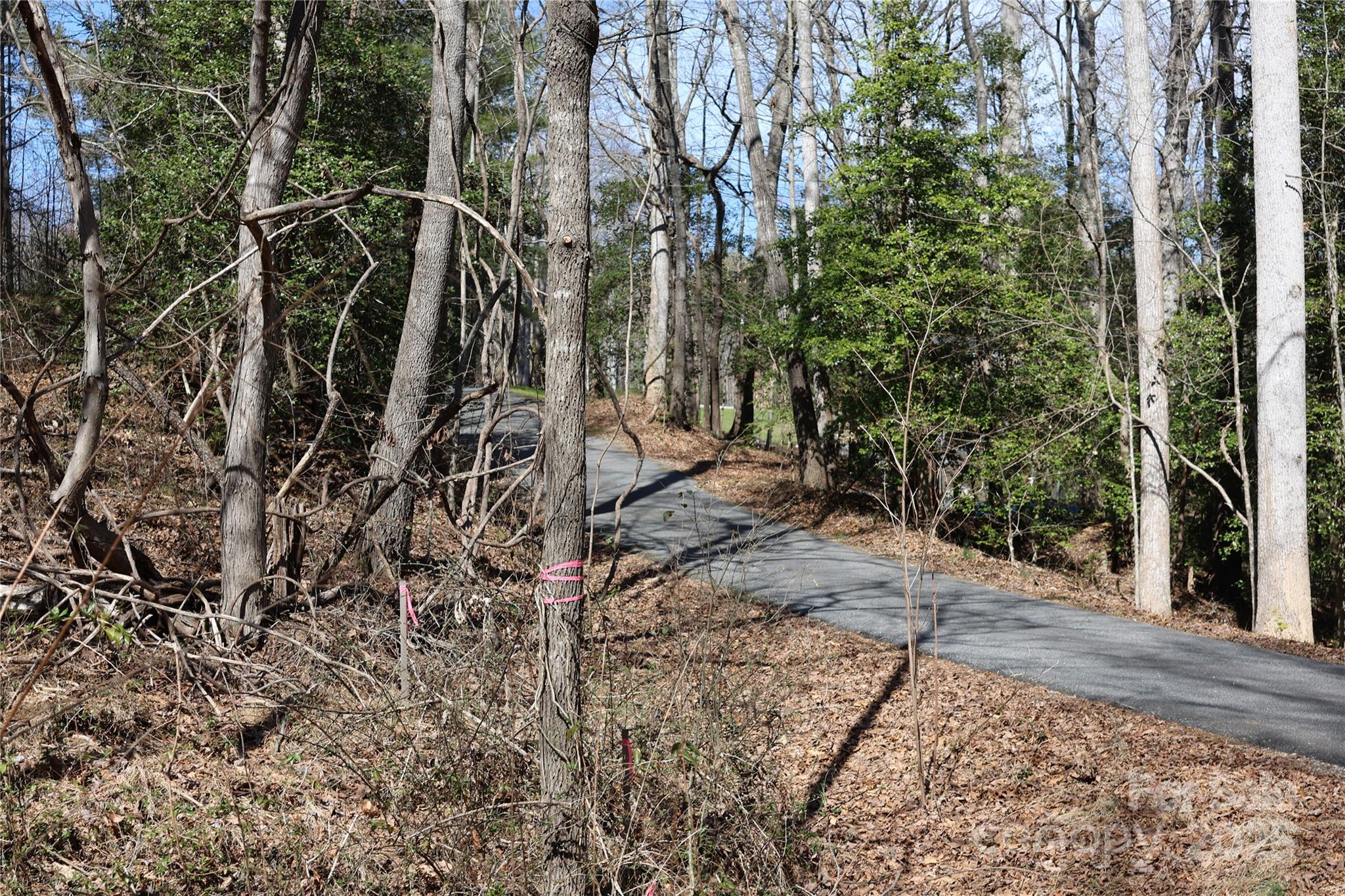 Lot at 00 Crappie Hollow Lane, Taylorsville, photo 9 of 11