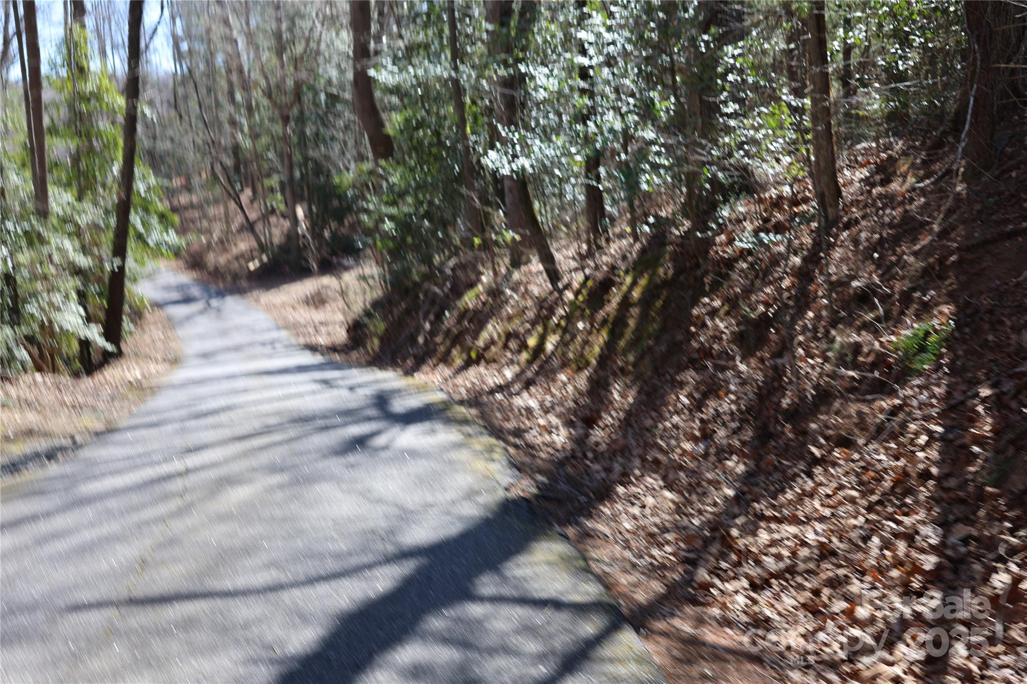 Lot at 00 Crappie Hollow Lane, Taylorsville, photo 10 of 11