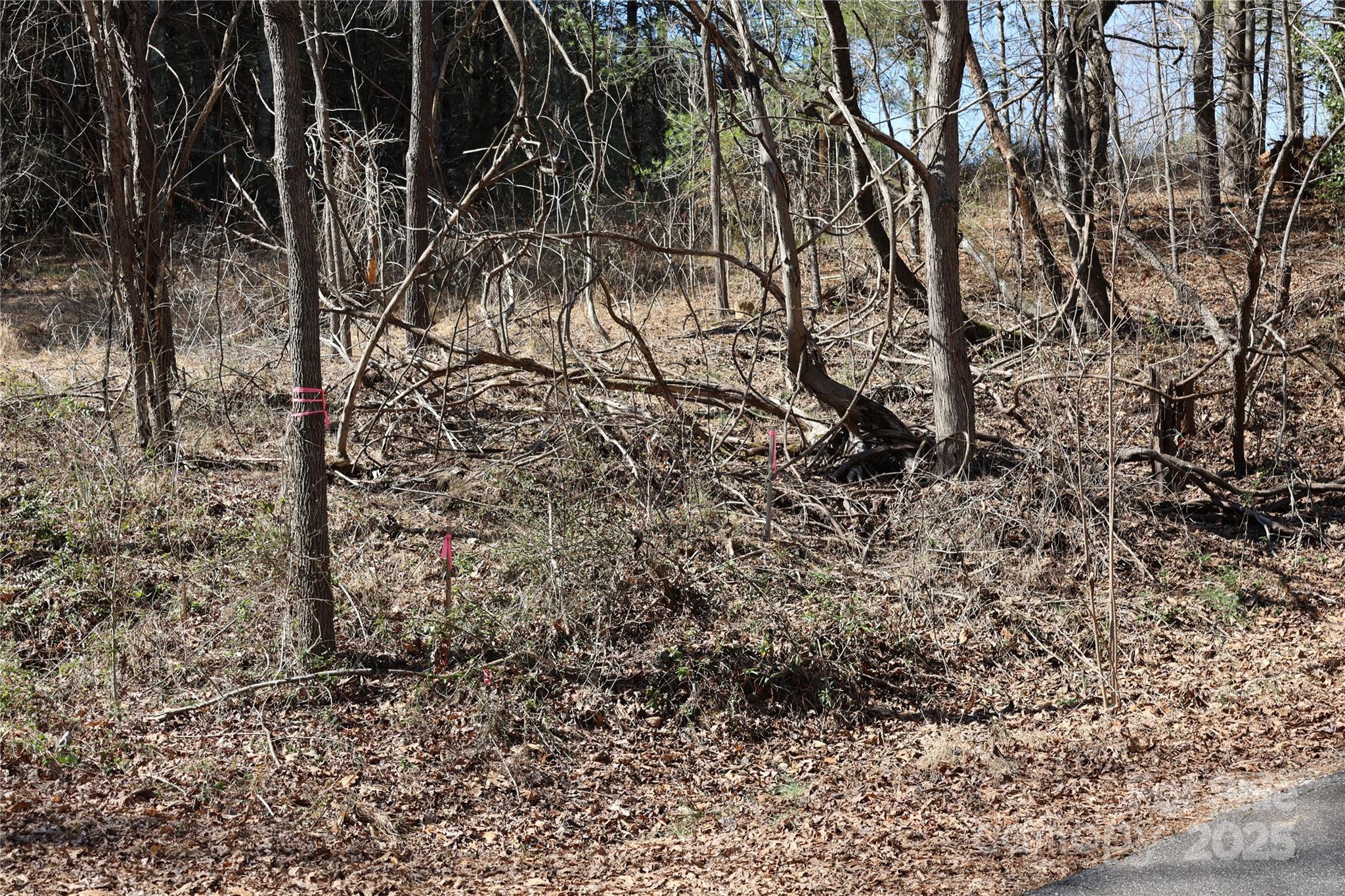 Lot at 00 Crappie Hollow Lane, Taylorsville, photo 11 of 11