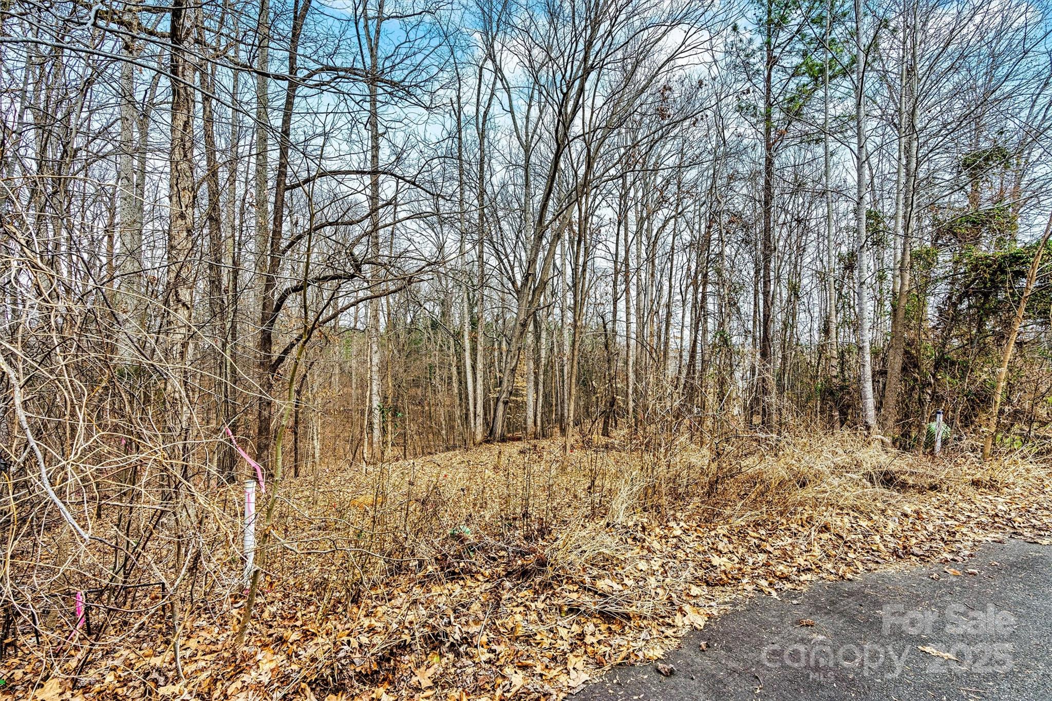 Lot at 128 Audrey Lane, Mooresville, photo 3 of 8