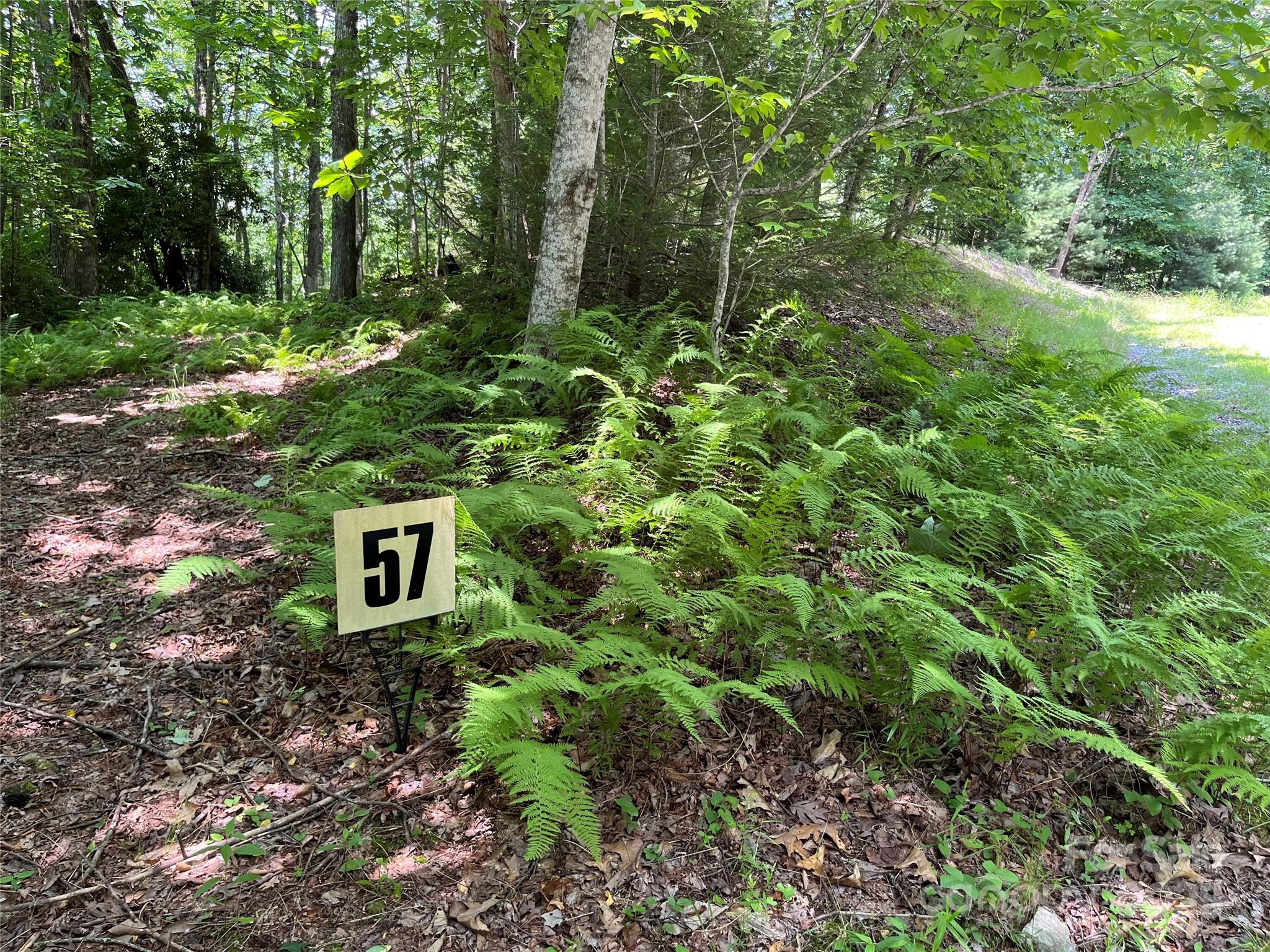 Lot at 57 Big Branch Road, Brevard, photo 2 of 20