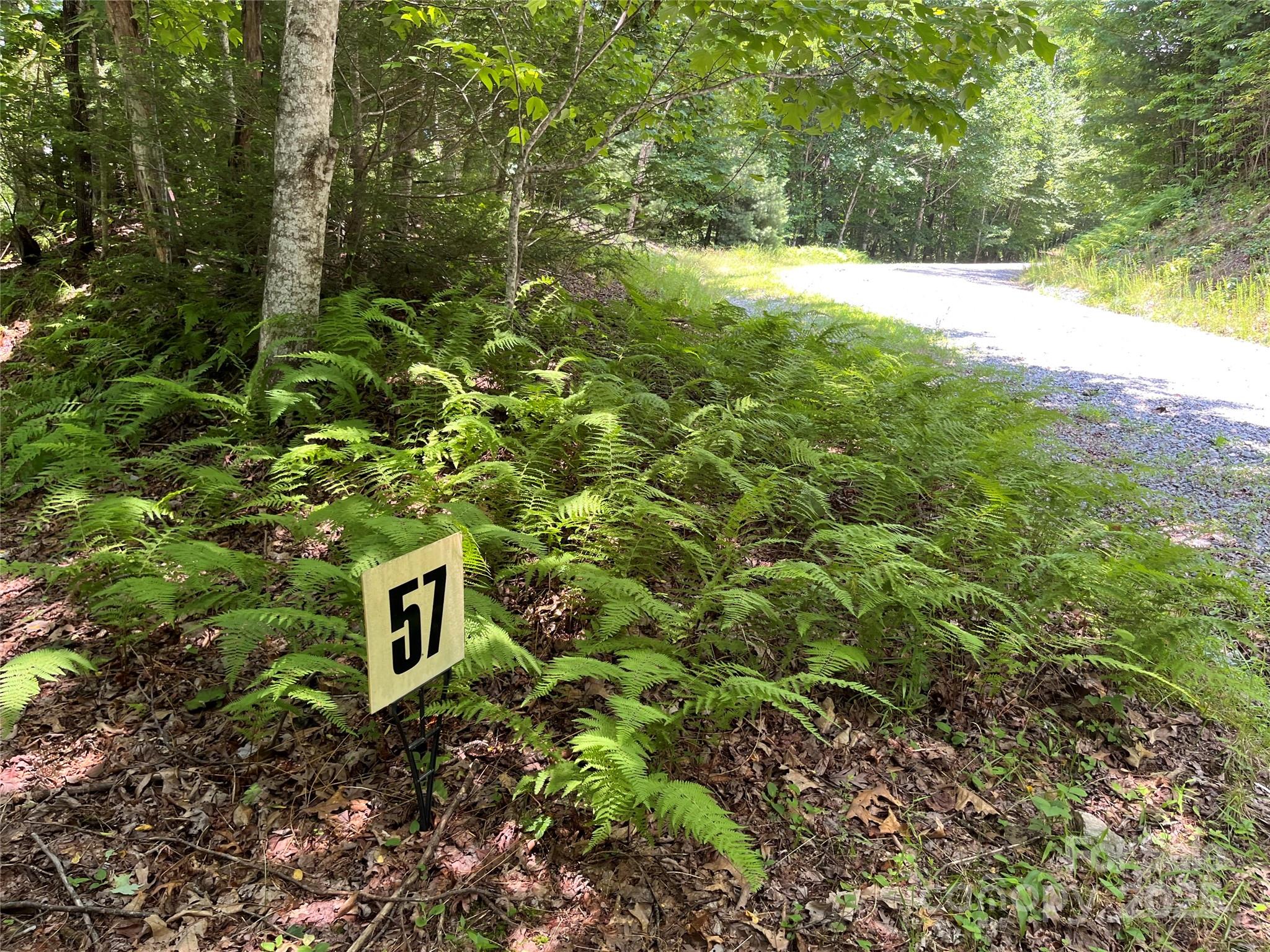 Lot at 57 Big Branch Road, Brevard, photo 3 of 20