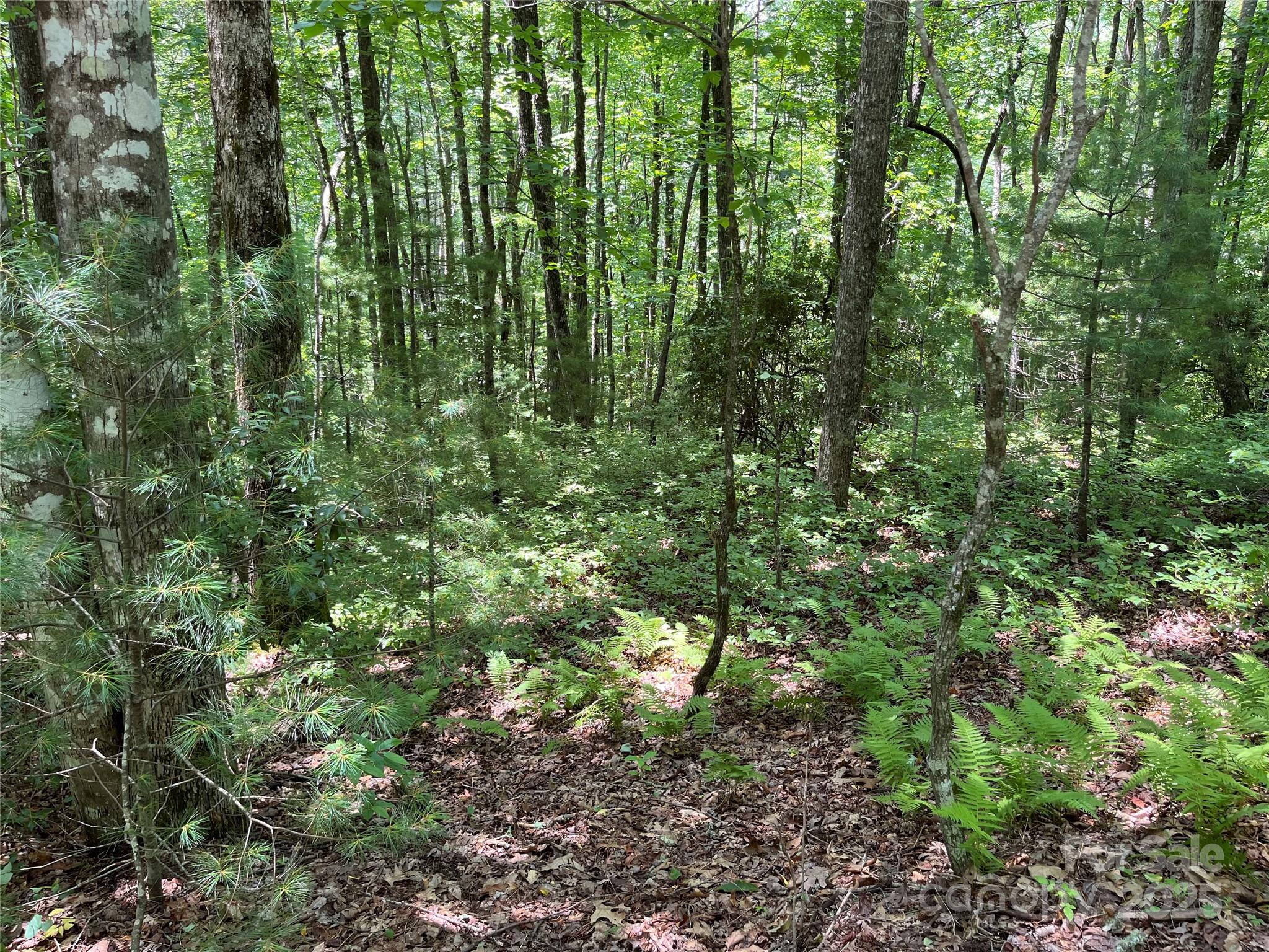 Lot at 57 Big Branch Road, Brevard, photo 4 of 20