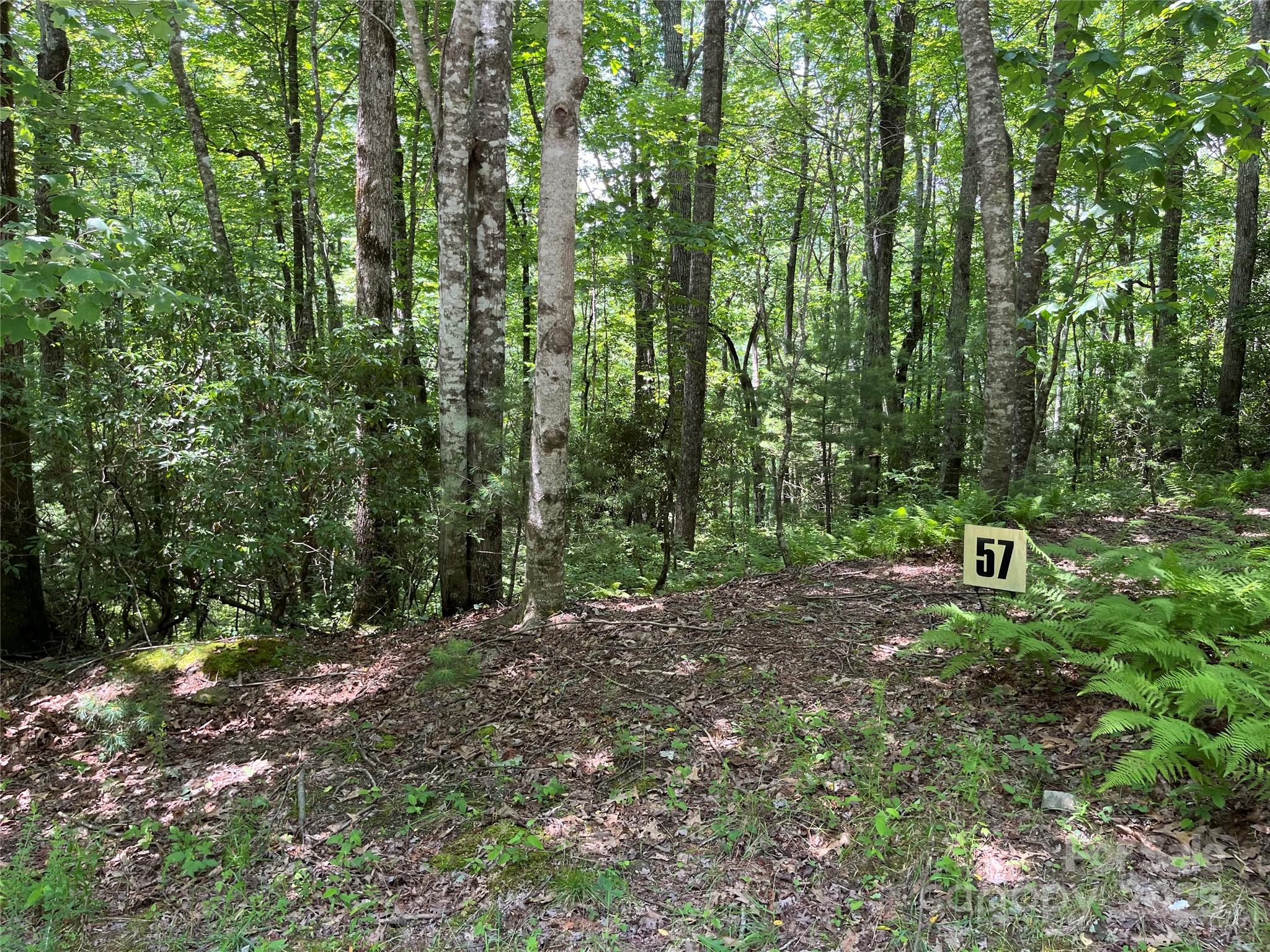 Lot at 57 Big Branch Road, Brevard, photo 5 of 20