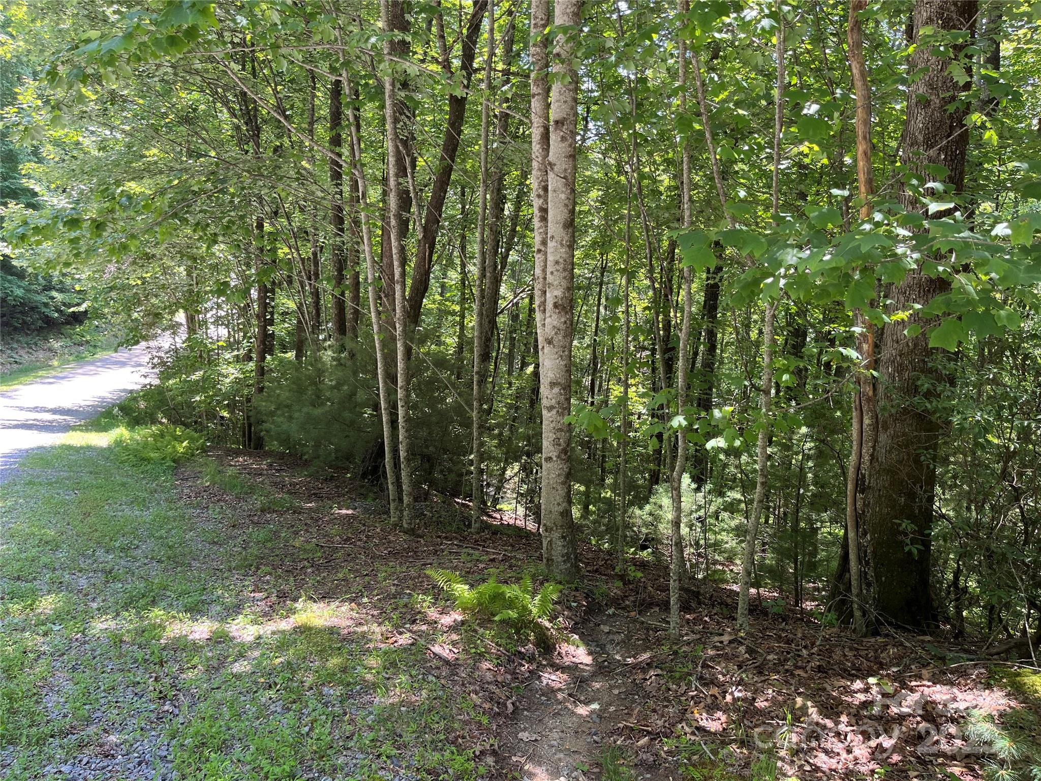 Lot at 57 Big Branch Road, Brevard, photo 6 of 20