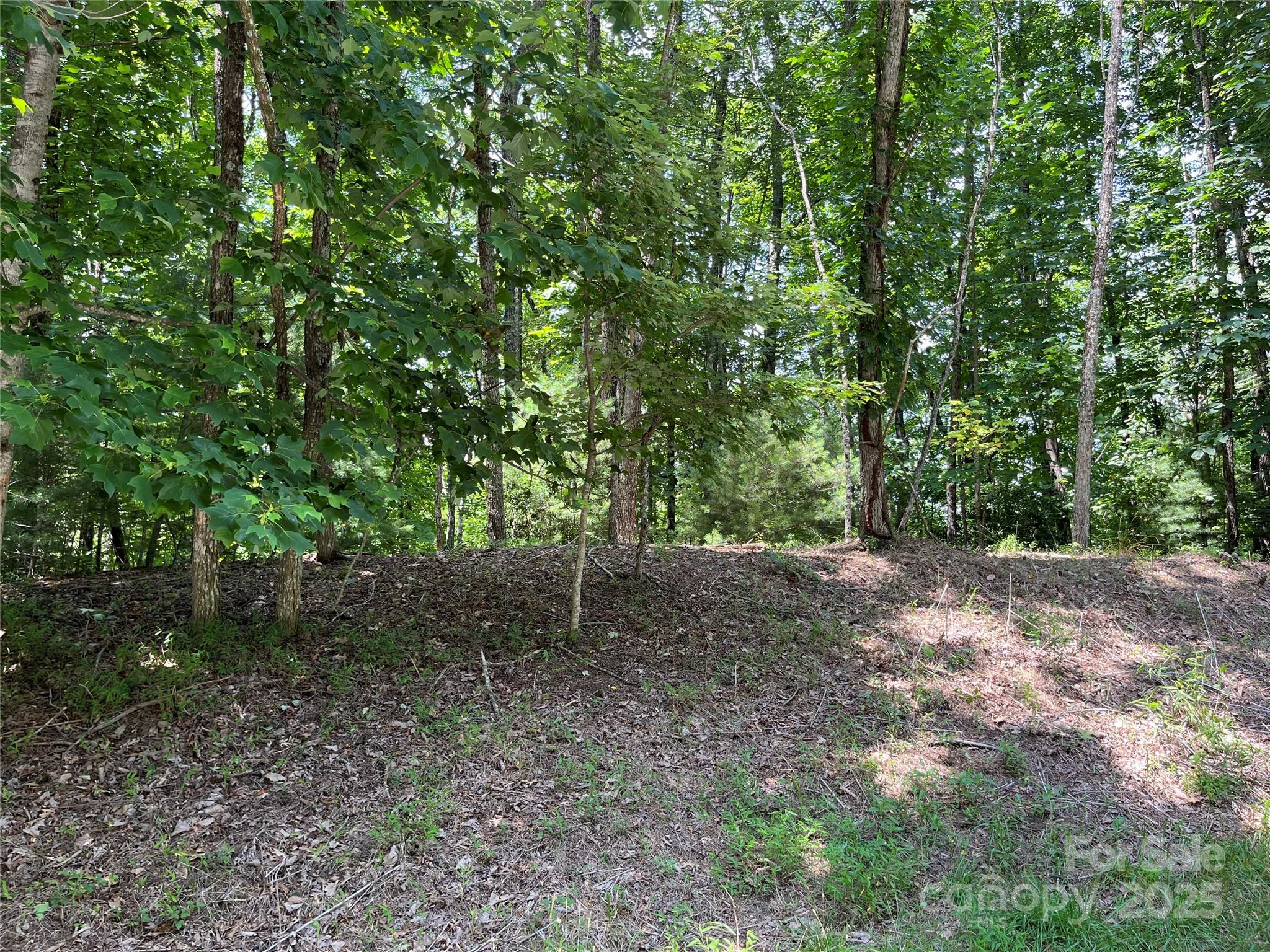 Lot at 57 Big Branch Road, Brevard, photo 8 of 20