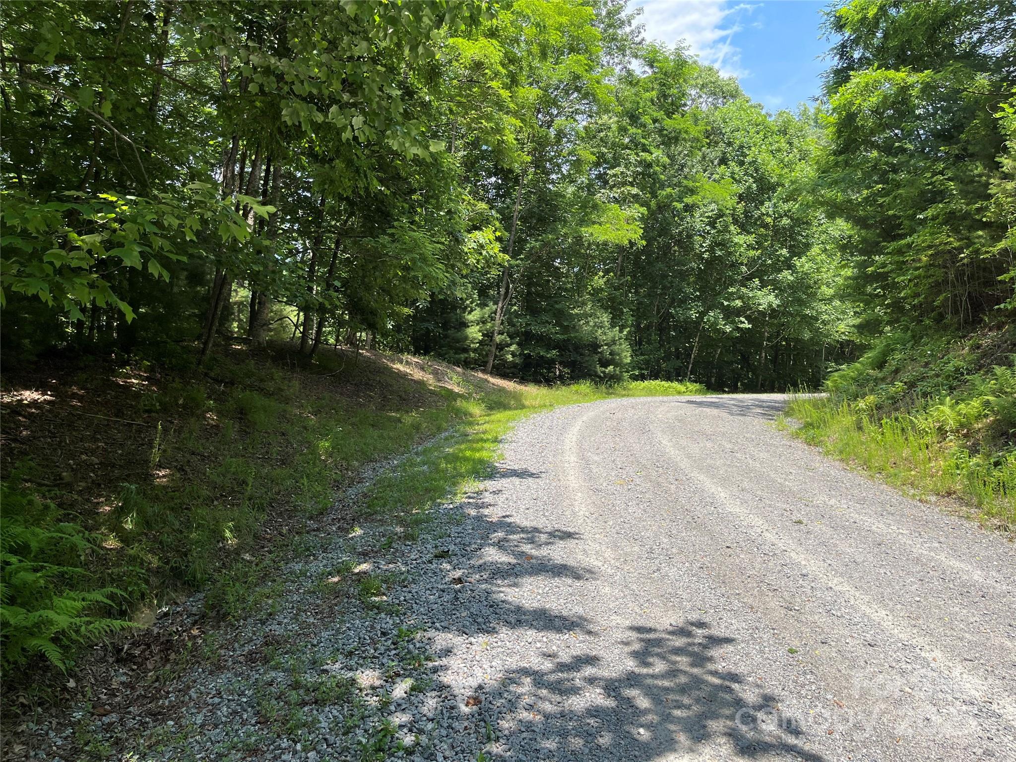 Lot at 57 Big Branch Road, Brevard, photo 9 of 20