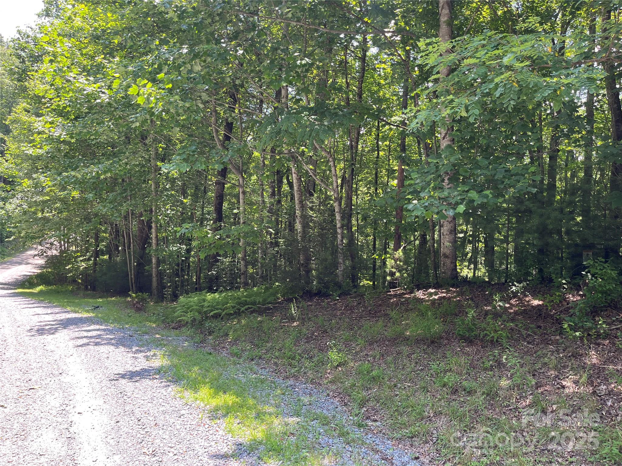 Lot at 57 Big Branch Road, Brevard, photo 10 of 20