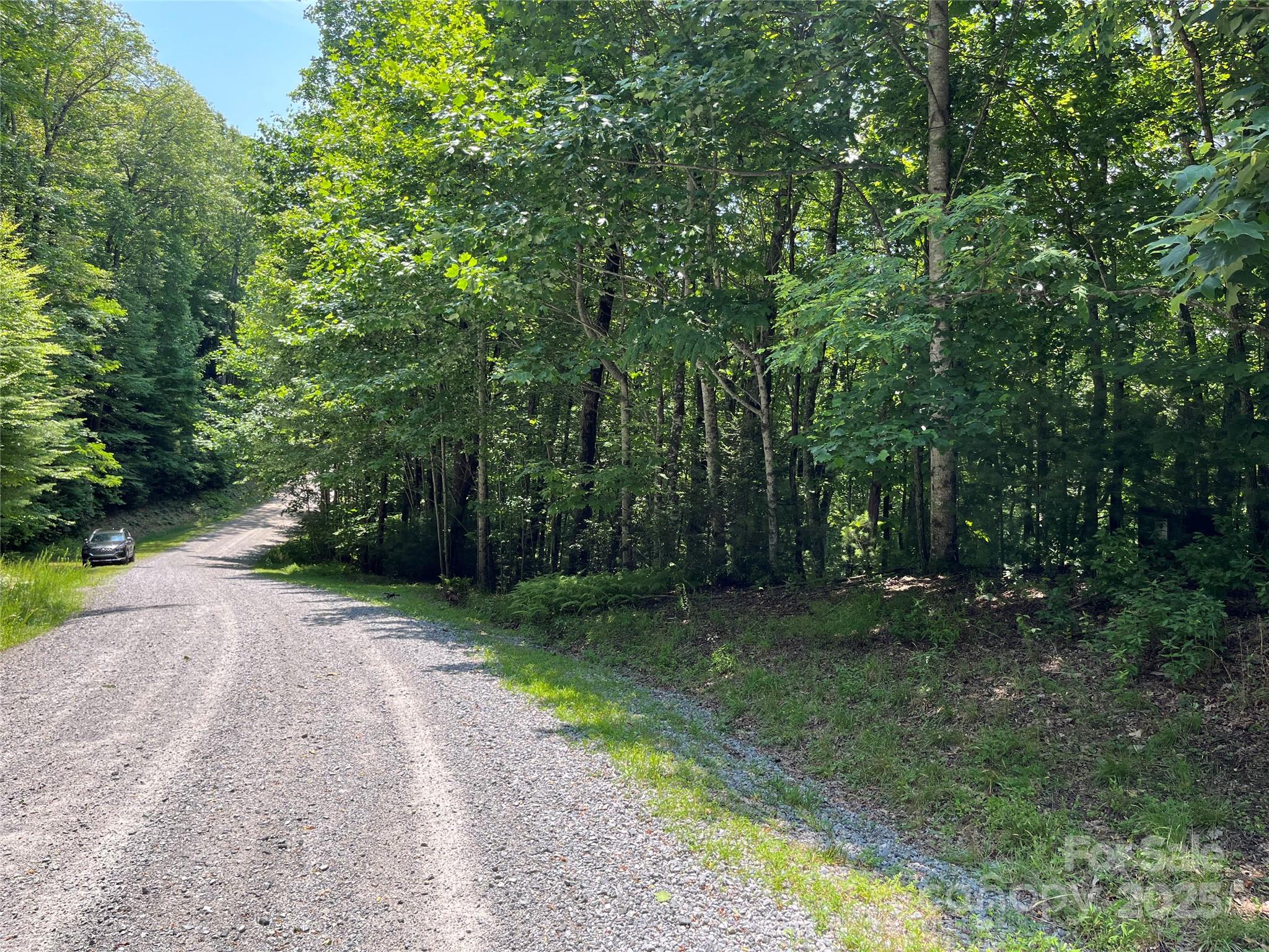 Lot at 57 Big Branch Road, Brevard, photo 11 of 20