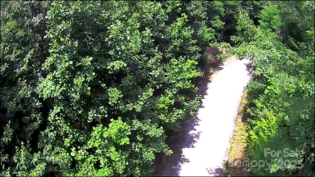 Lot at 57 Big Branch Road, Brevard, photo 13 of 20