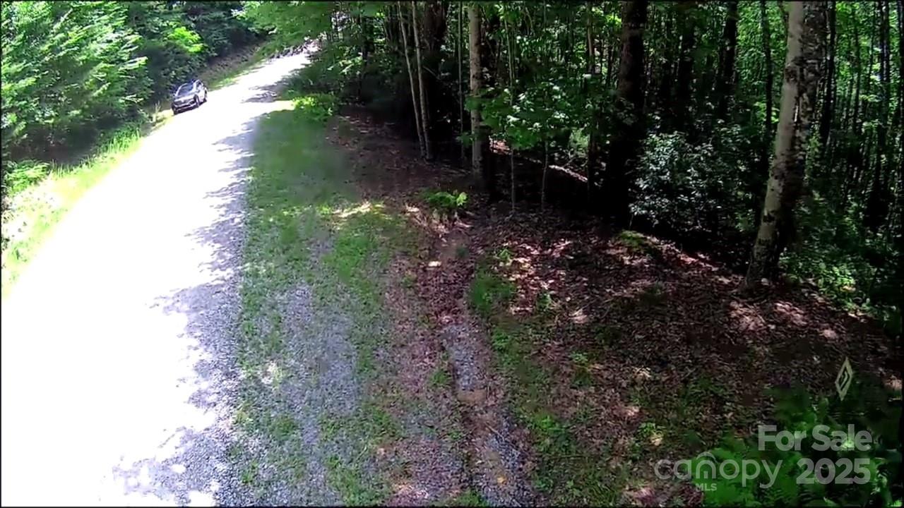 Lot at 57 Big Branch Road, Brevard, photo 15 of 20
