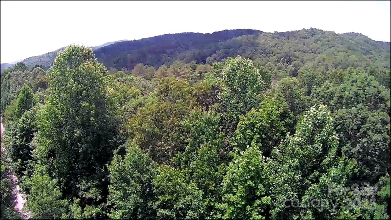 Lot at 57 Big Branch Road, Brevard, photo 16 of 20