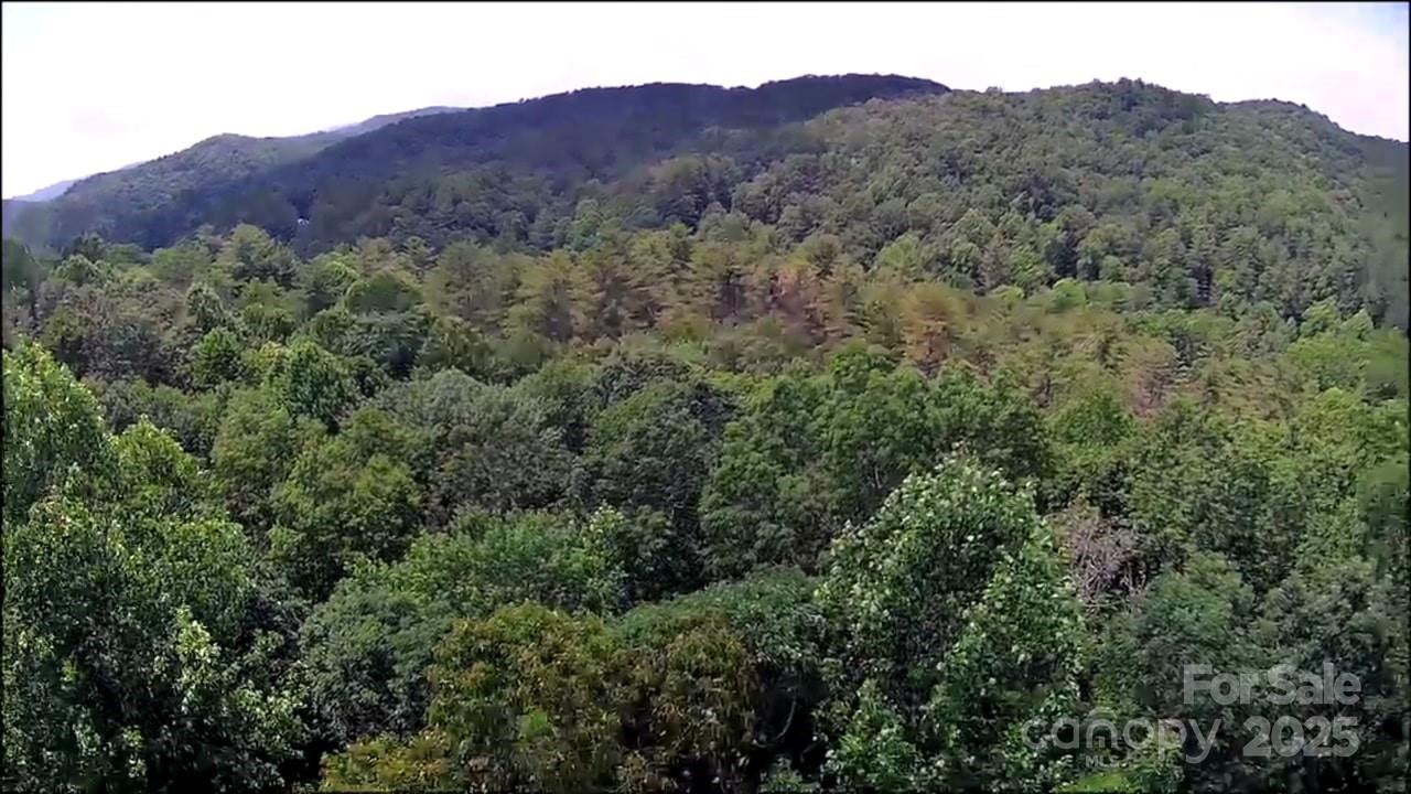 Lot at 57 Big Branch Road, Brevard, photo 18 of 20