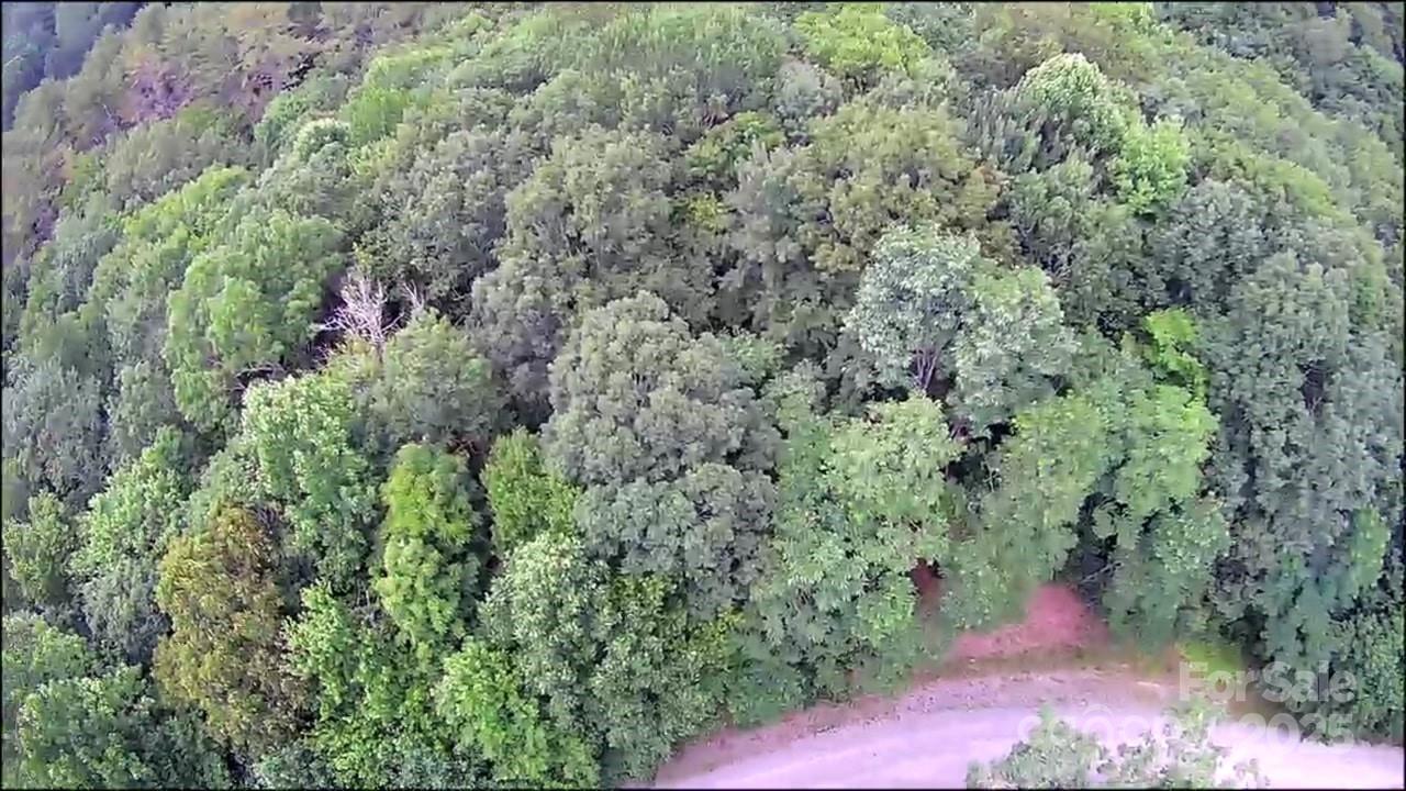 Lot at 57 Big Branch Road, Brevard, photo 20 of 20