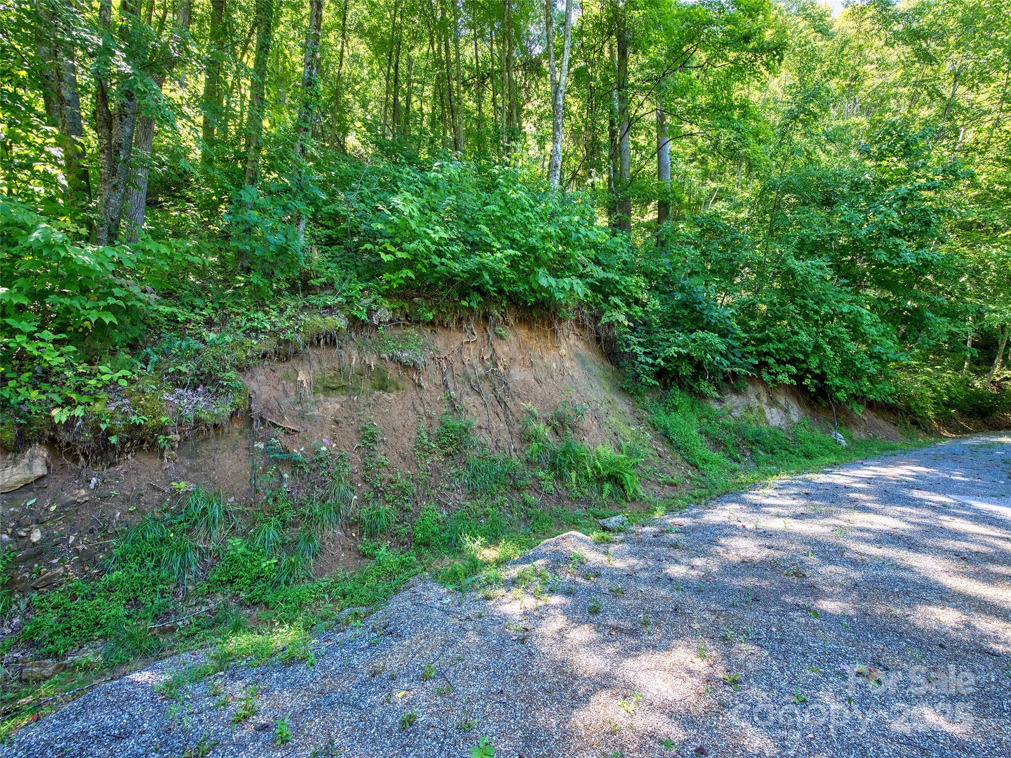 Lot at 00 Yellow Locust Drive, Waynesville, photo 2 of 16