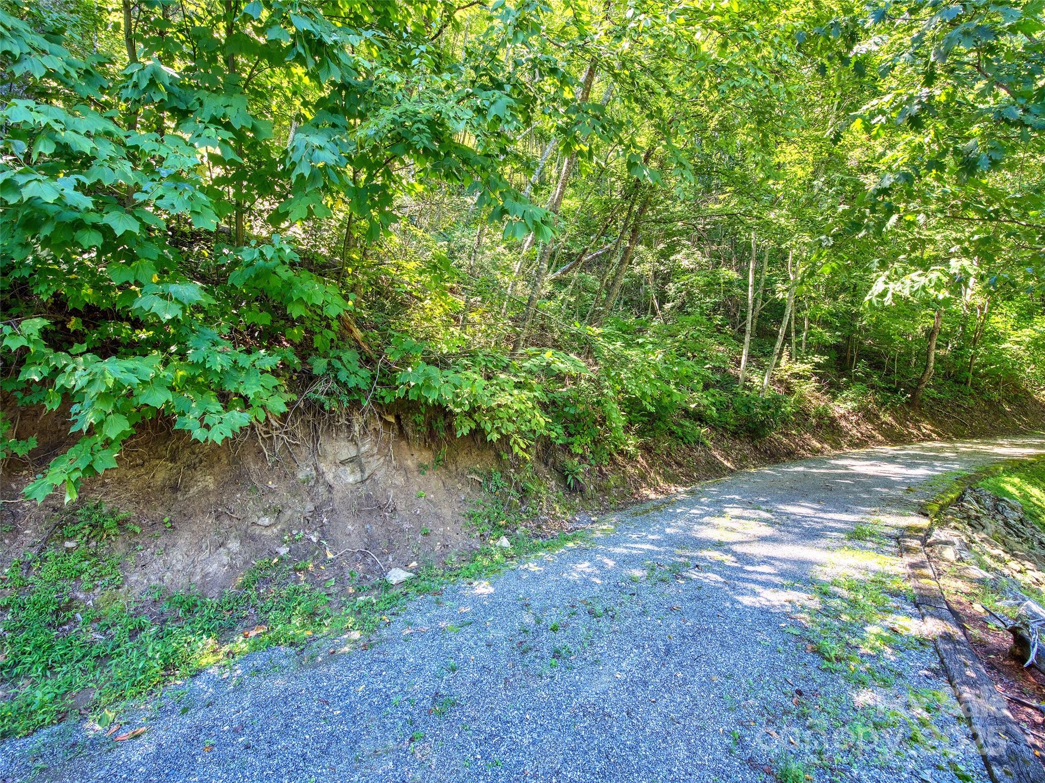 Lot at 00 Yellow Locust Drive, Waynesville, photo 3 of 16