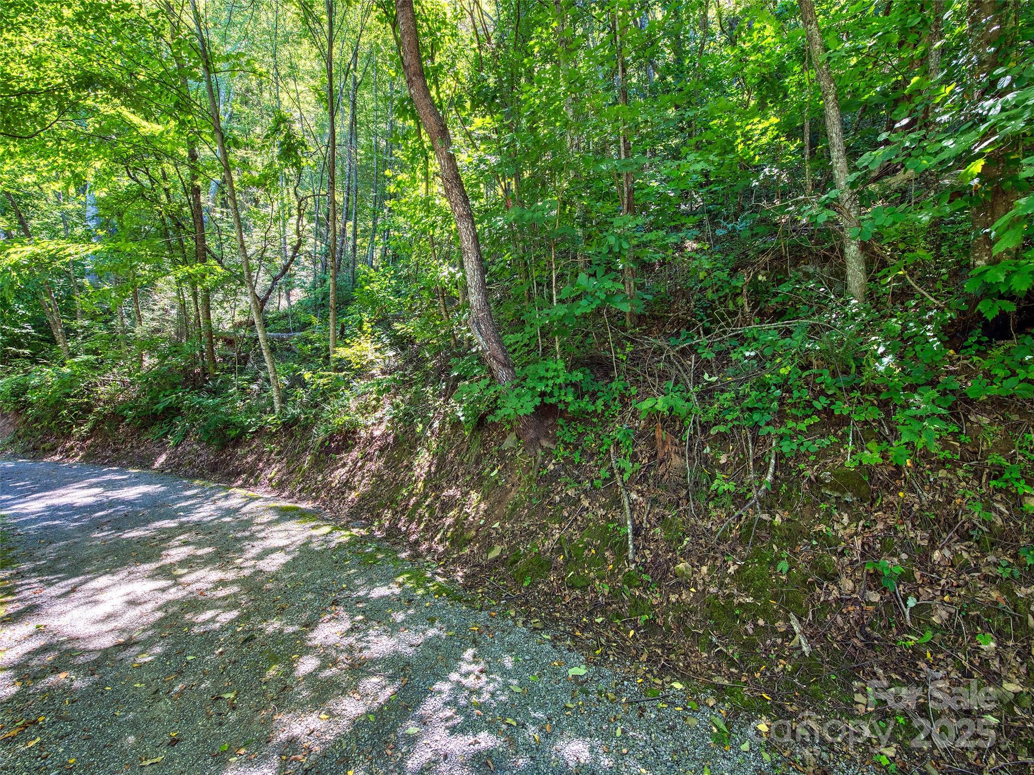 Lot at 00 Yellow Locust Drive, Waynesville, photo 4 of 16