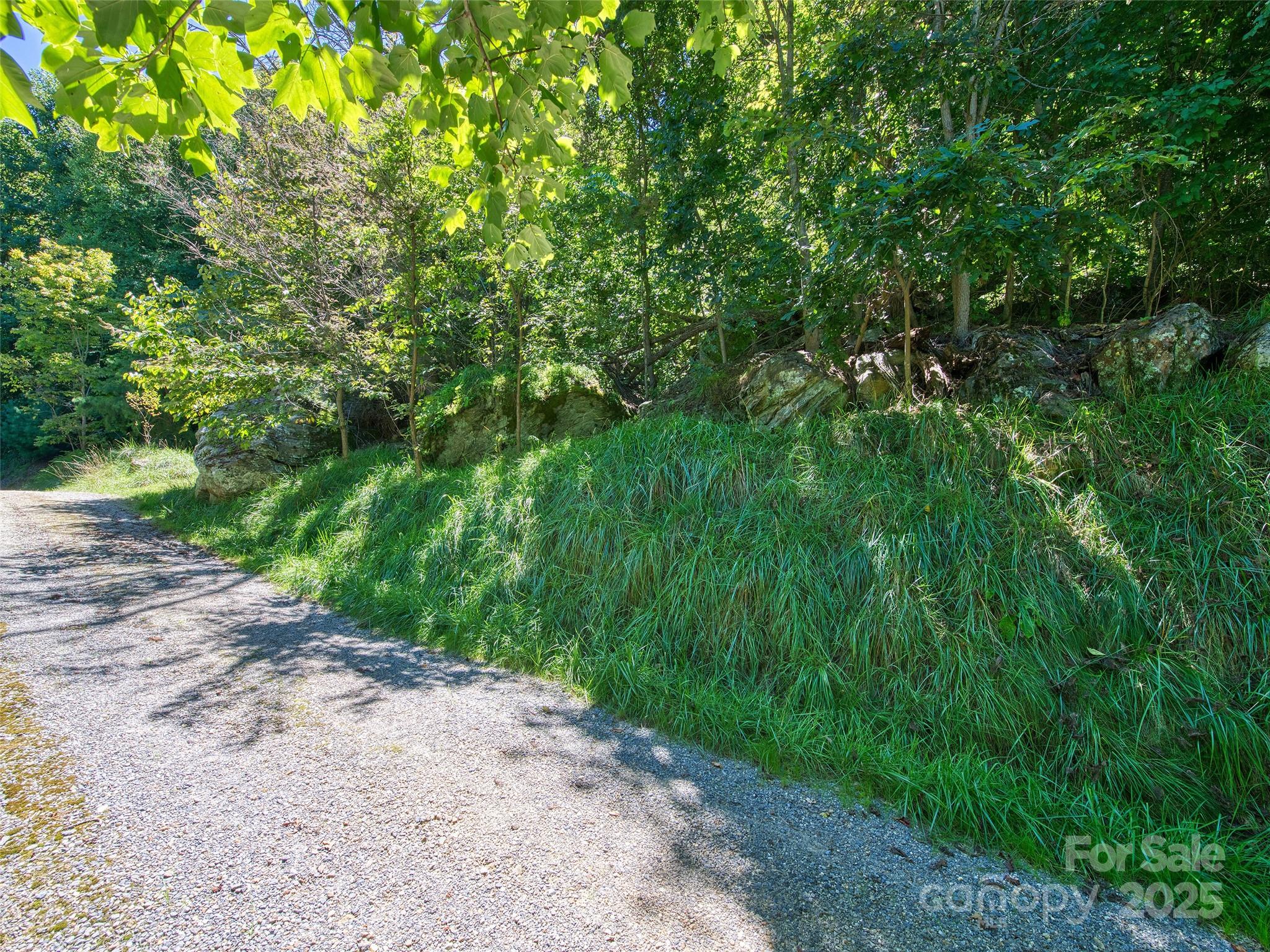 Lot at 00 Yellow Locust Drive, Waynesville, photo 5 of 16