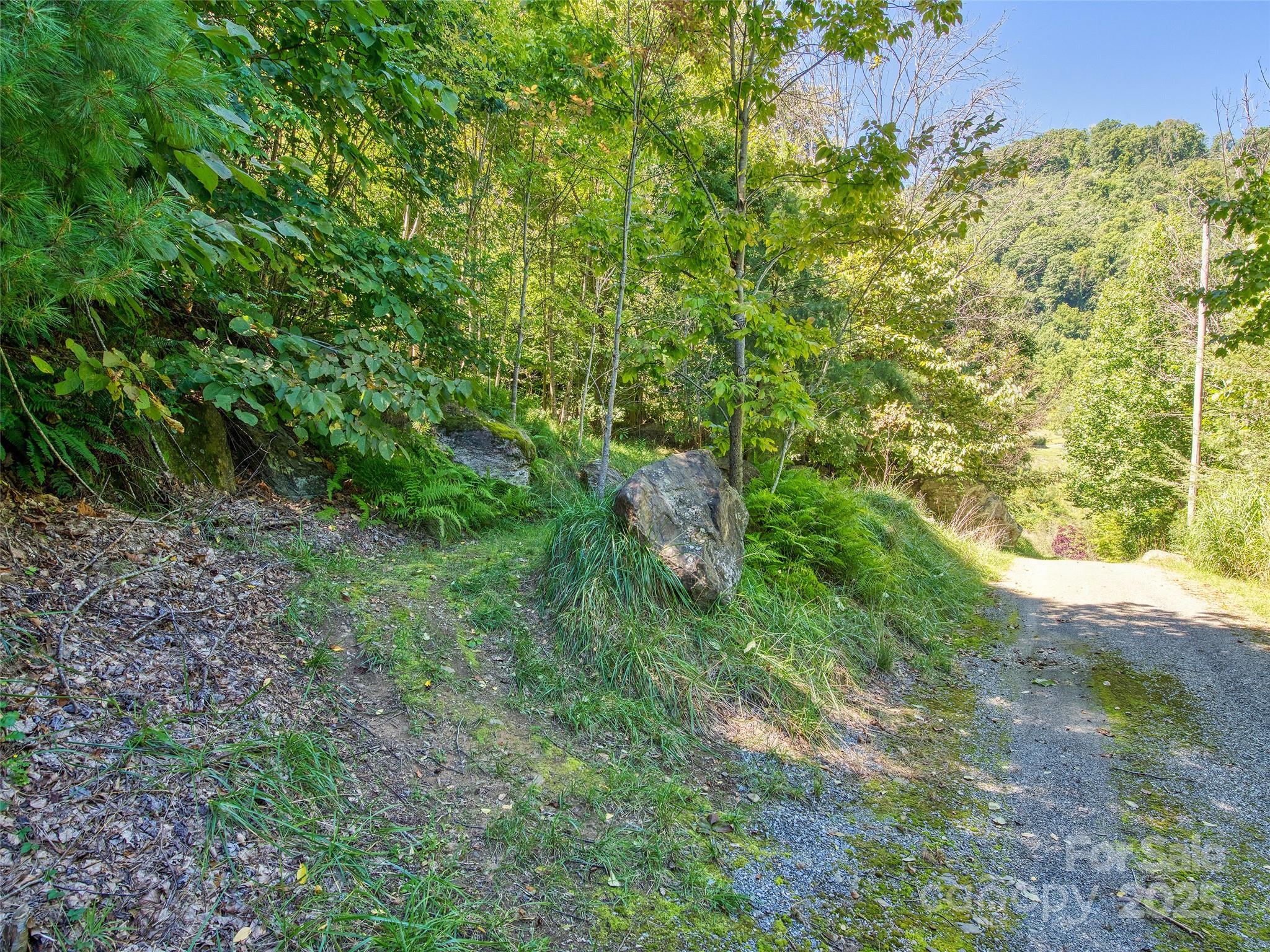 Lot at 00 Yellow Locust Drive, Waynesville, photo 6 of 16