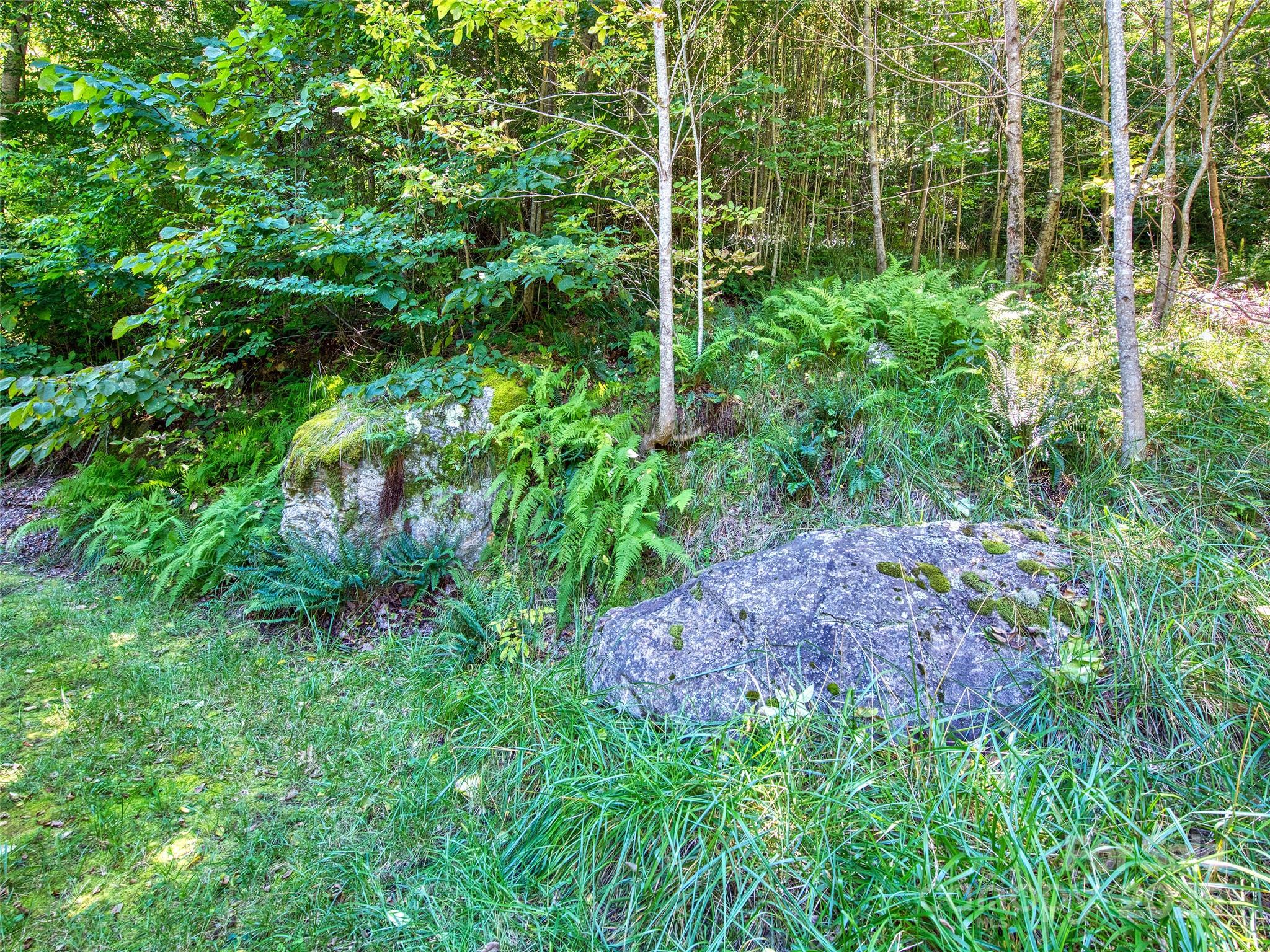 Lot at 00 Yellow Locust Drive, Waynesville, photo 7 of 16