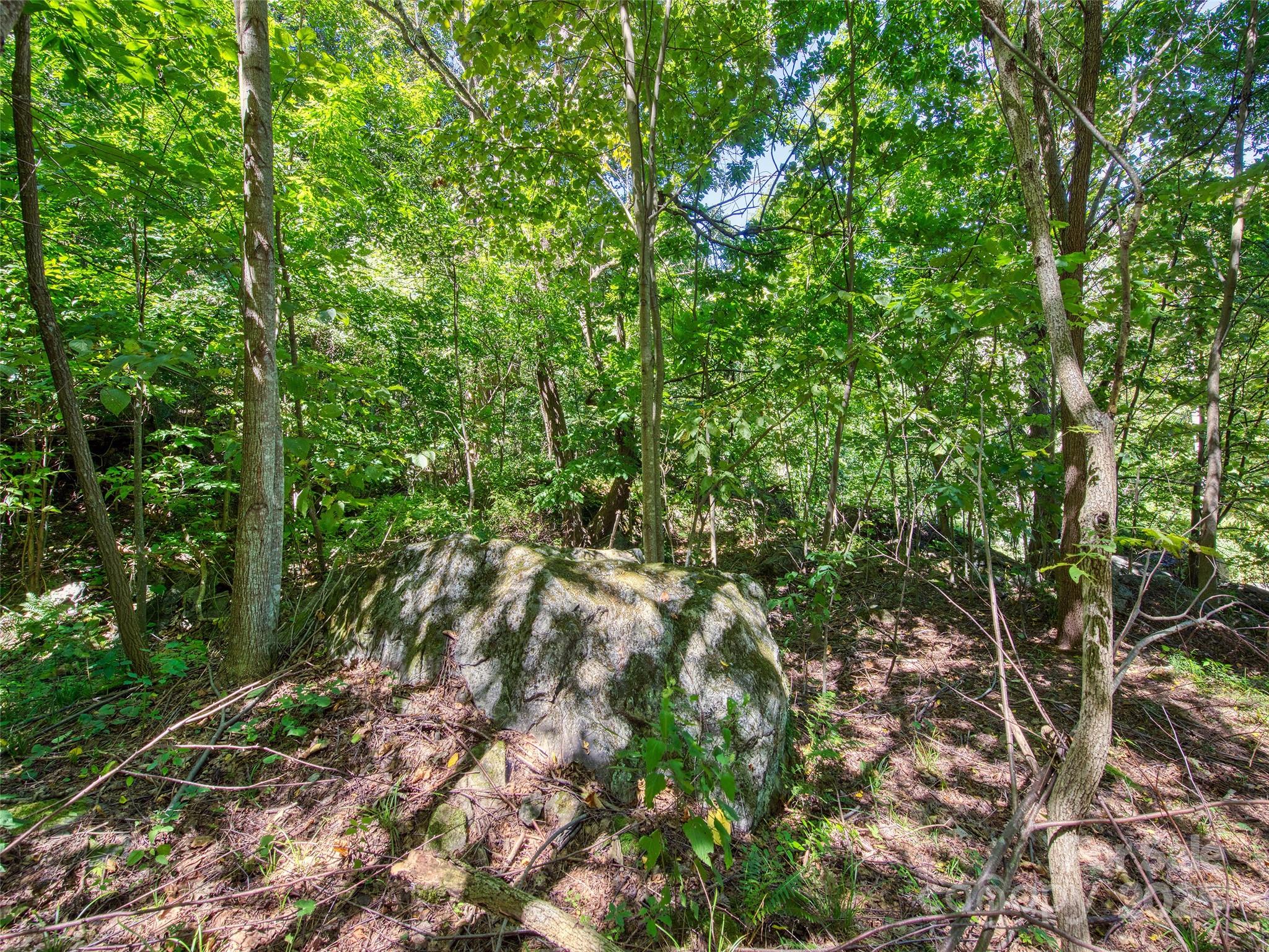 Lot at 00 Yellow Locust Drive, Waynesville, photo 8 of 16
