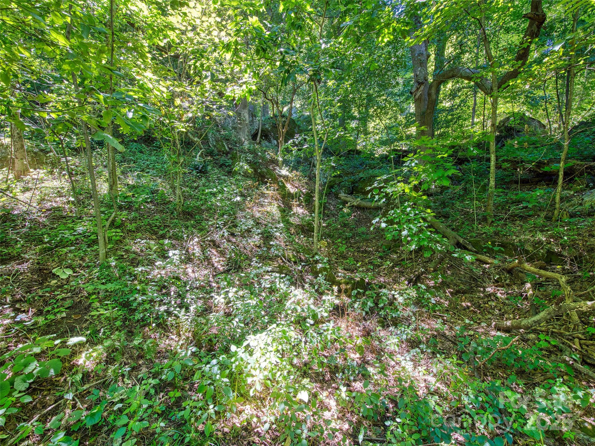 Lot at 00 Yellow Locust Drive, Waynesville, photo 10 of 16