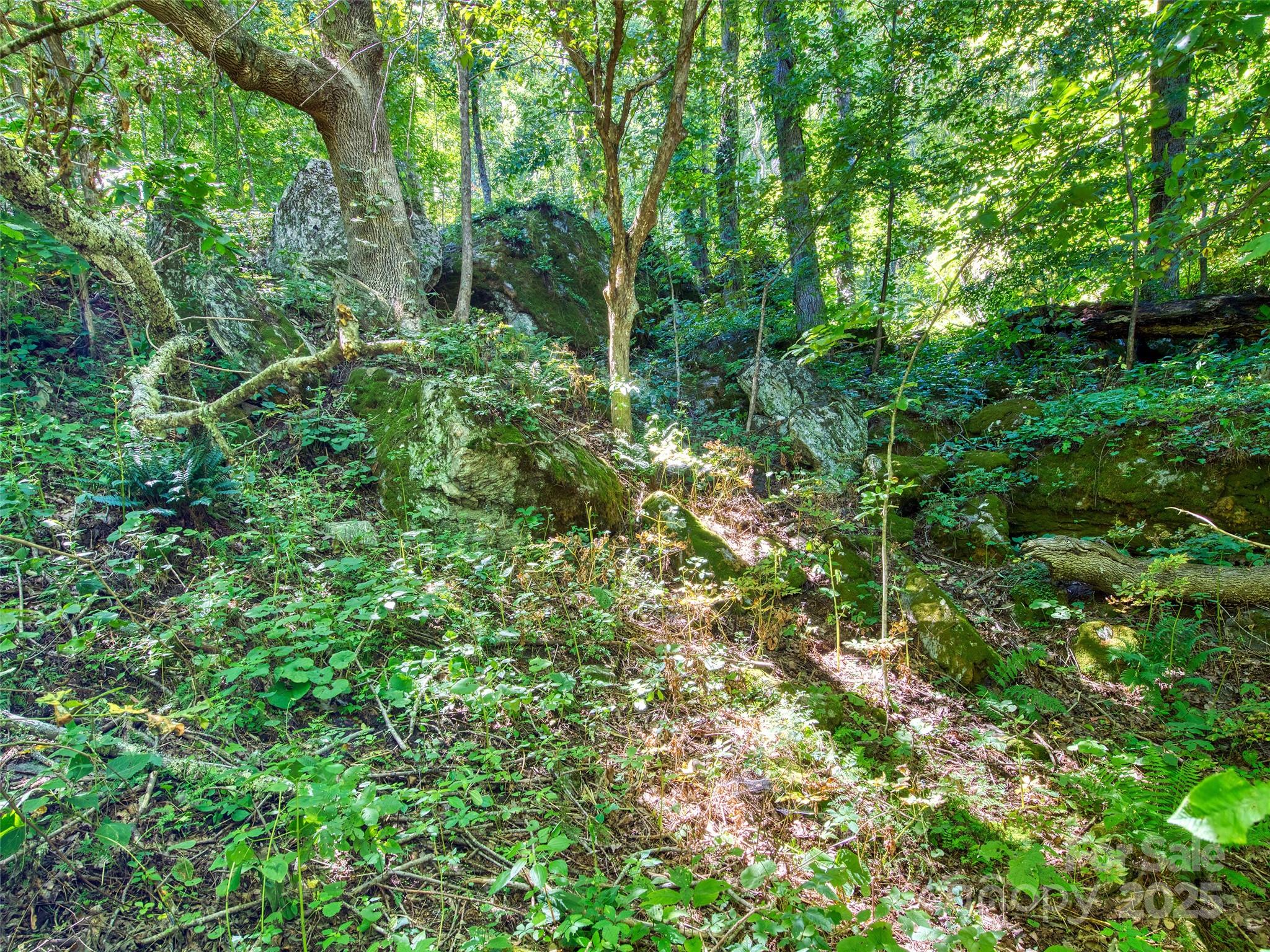 Lot at 00 Yellow Locust Drive, Waynesville, photo 11 of 16